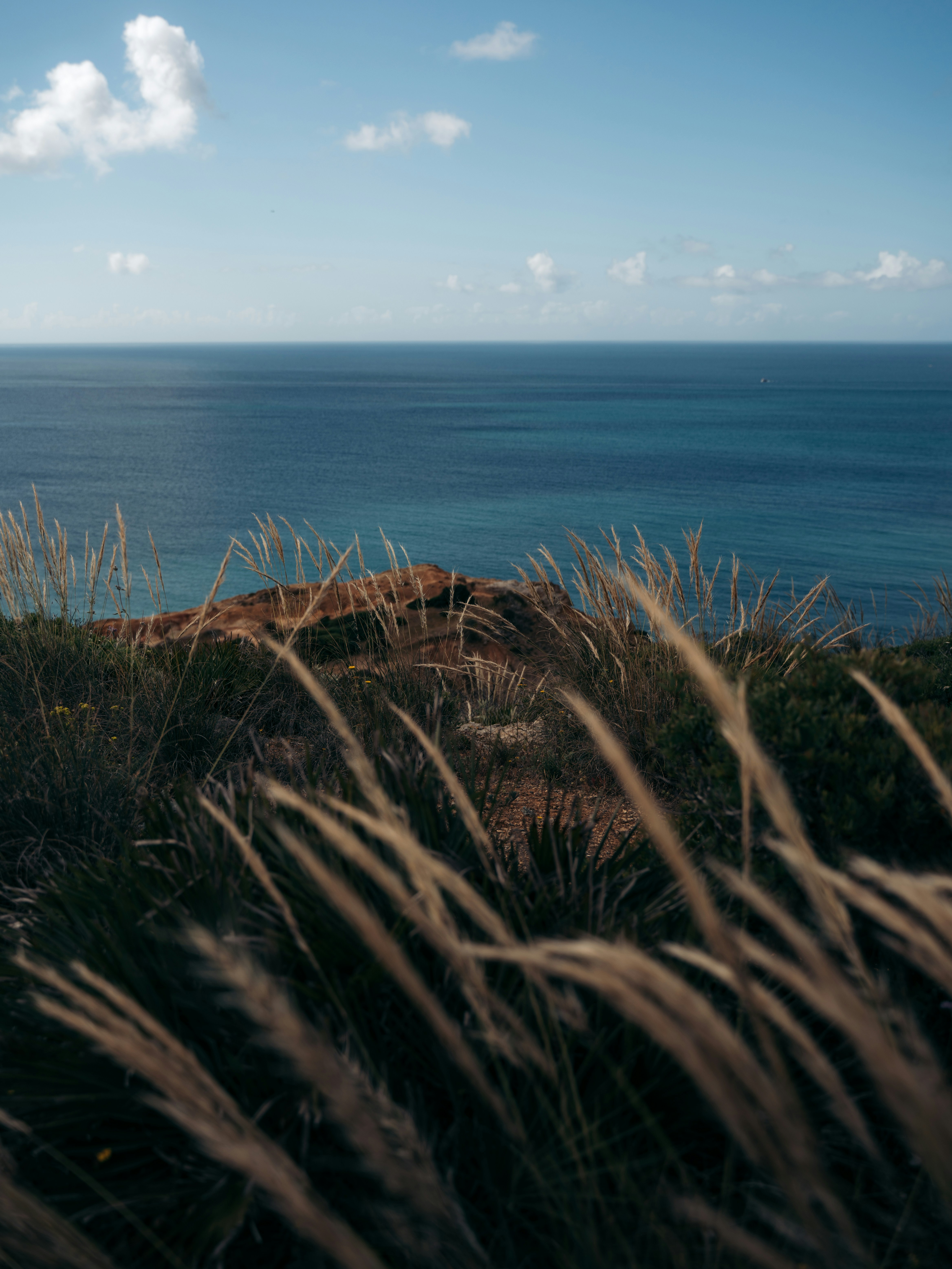 Photo by michielannaert
