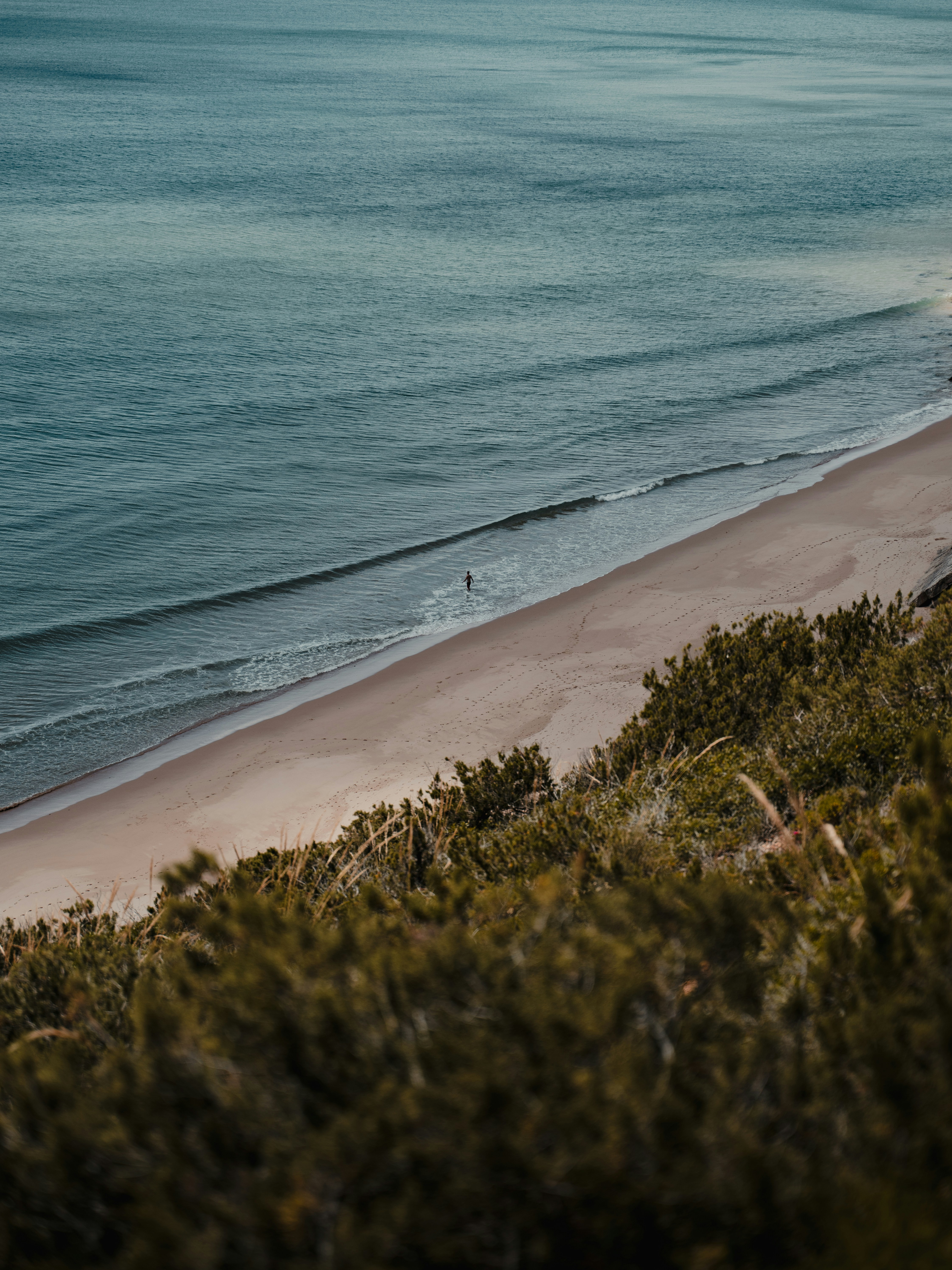 Photo by michielannaert