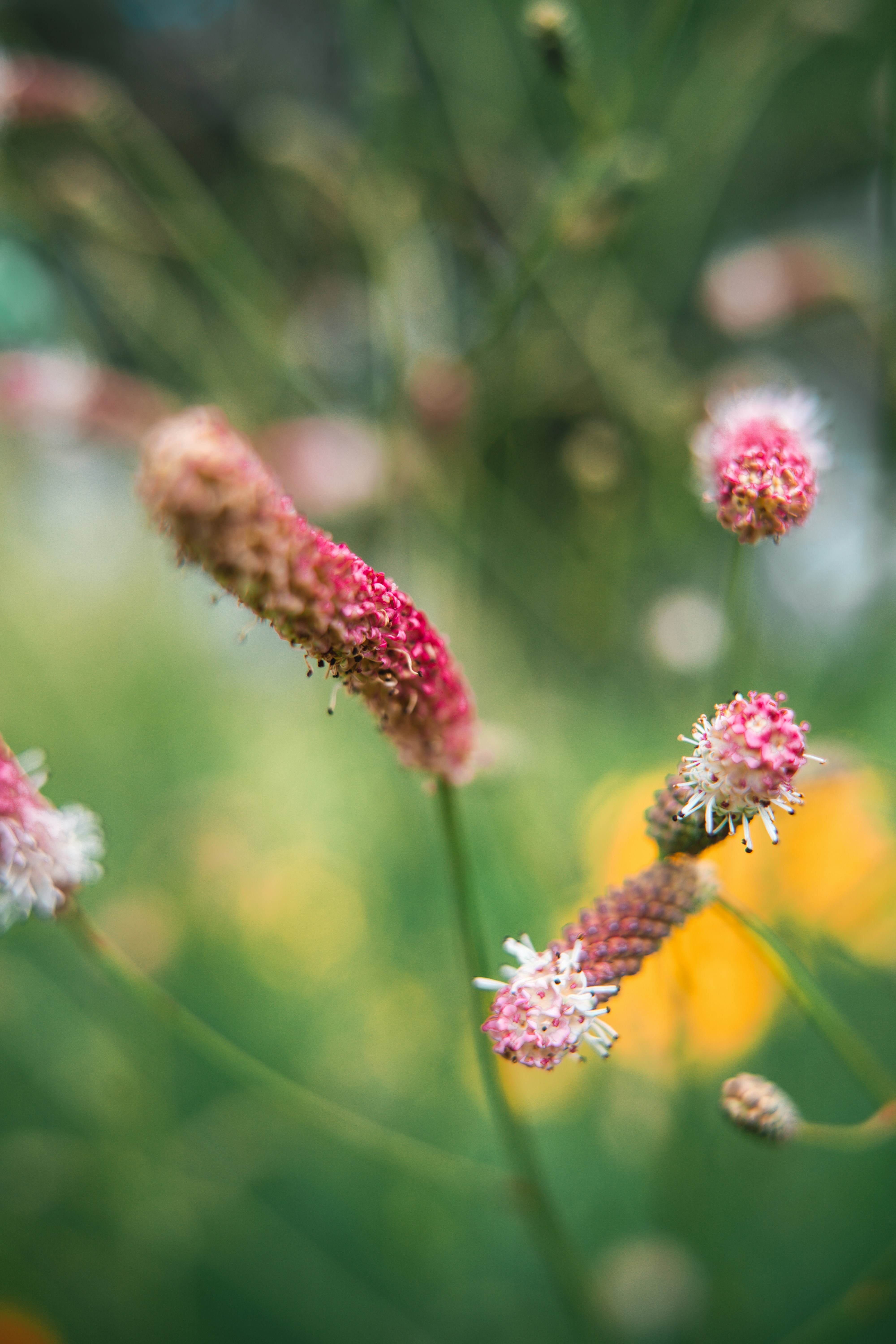 Photo by anamnesis33