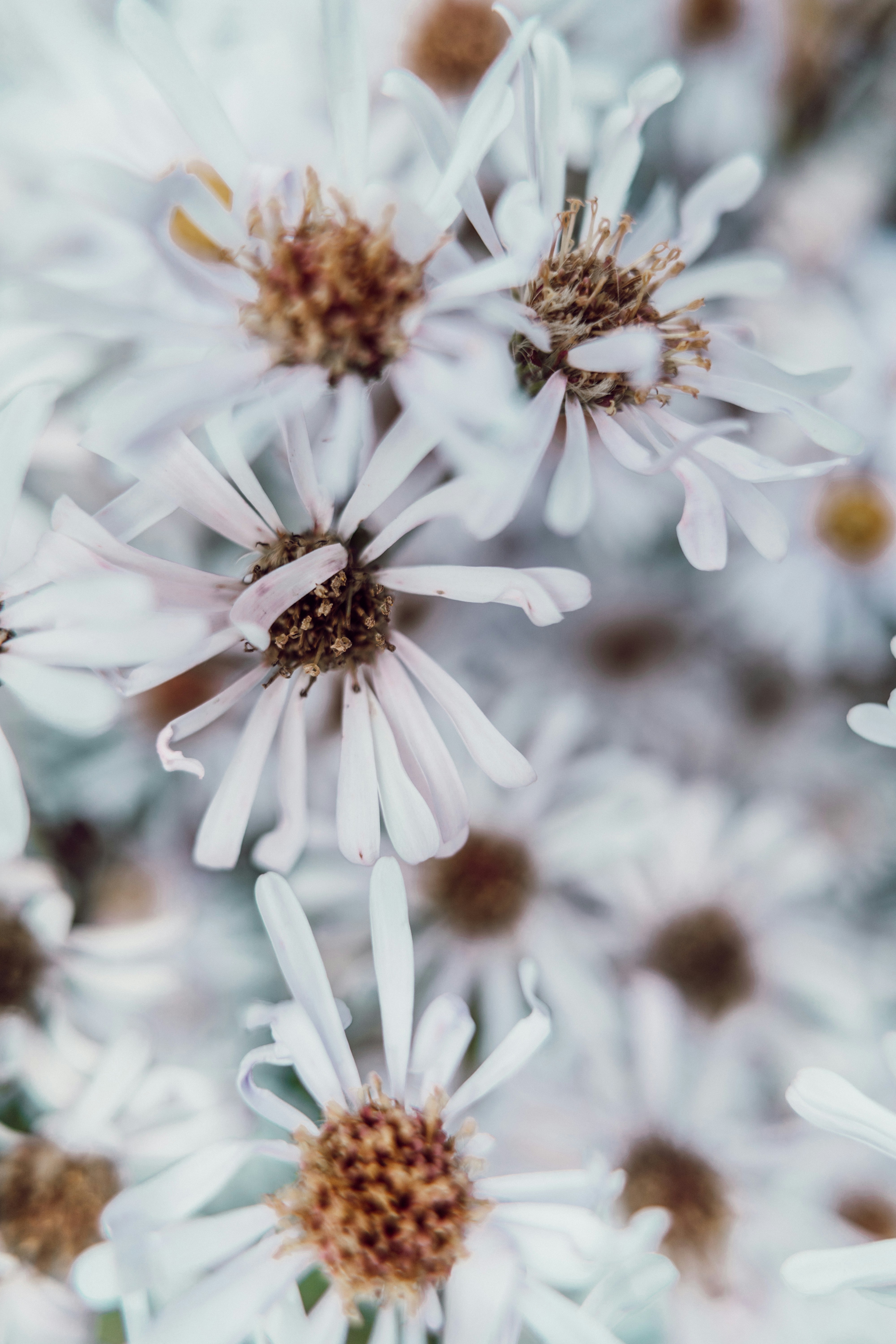 Photo by anamnesis33