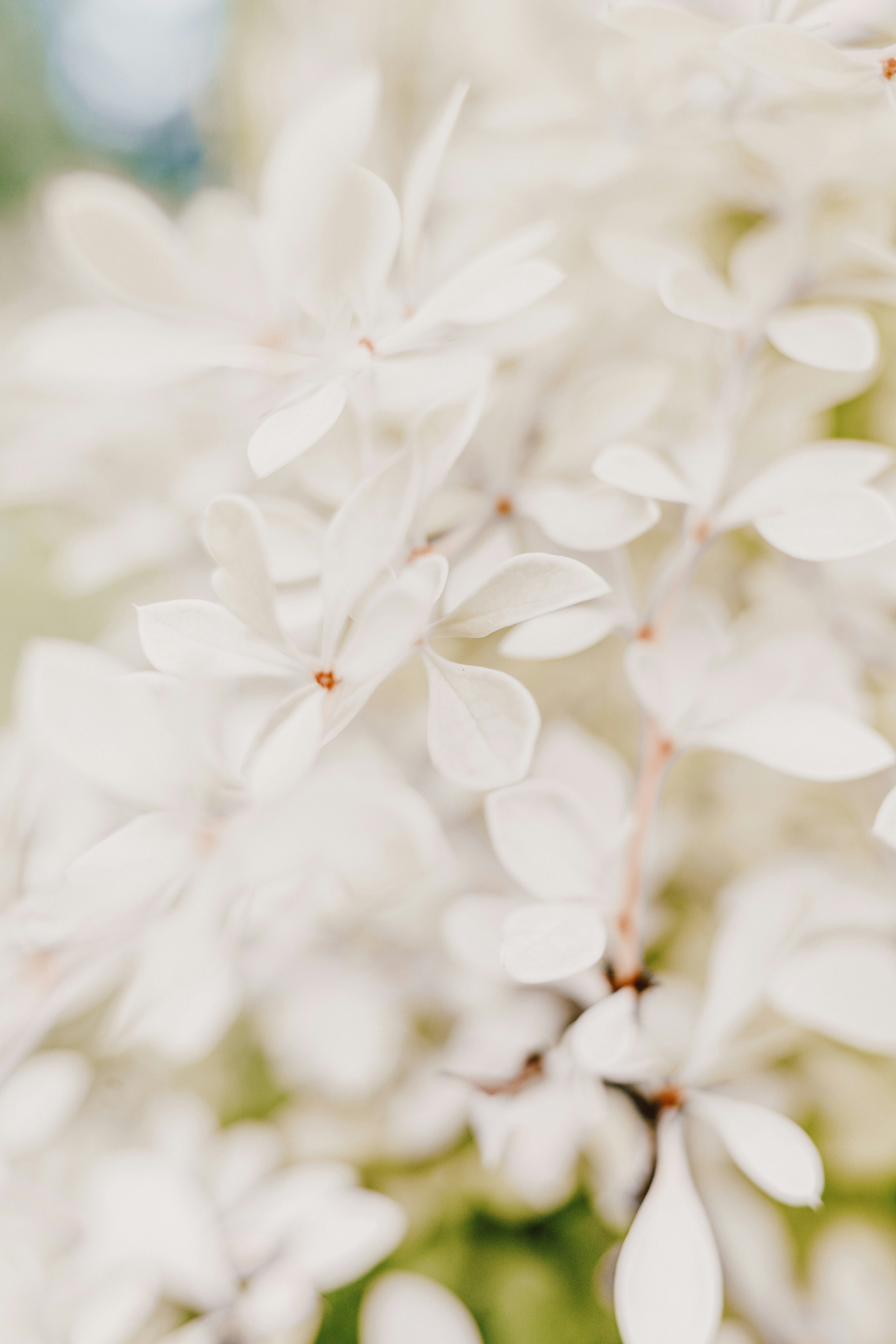 Photo by anamnesis33