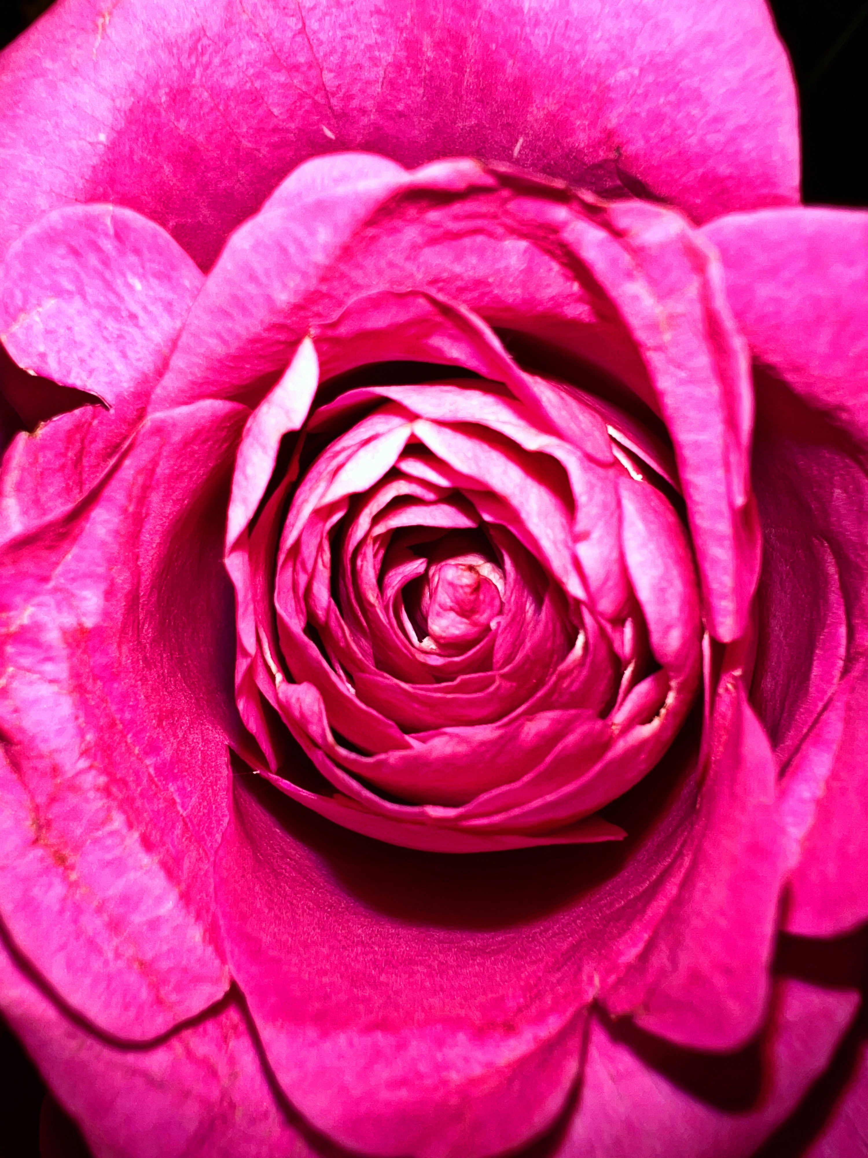 Photo by shaimaaasami