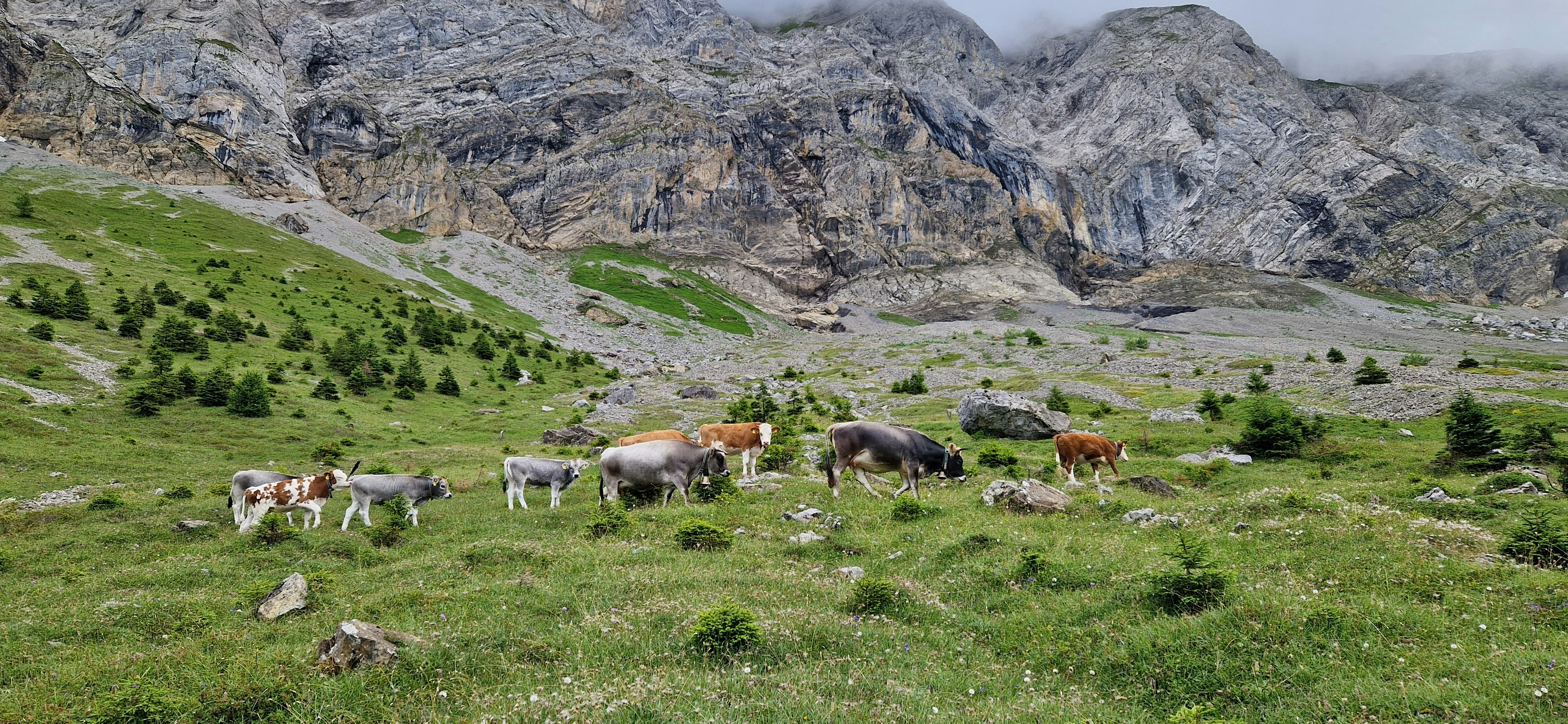 Photo by alpsmountains