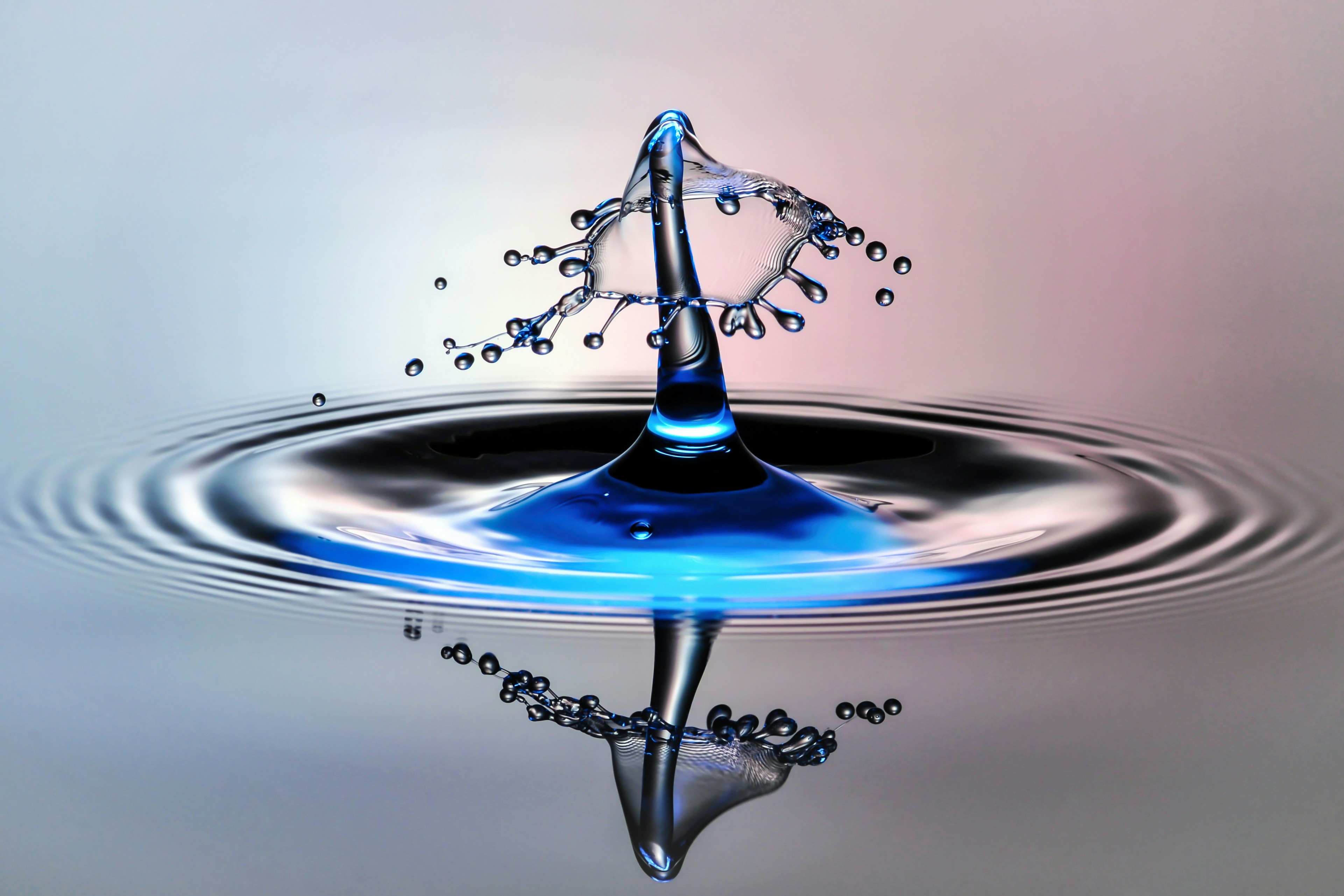 Photo by hamburgmeinefreundin