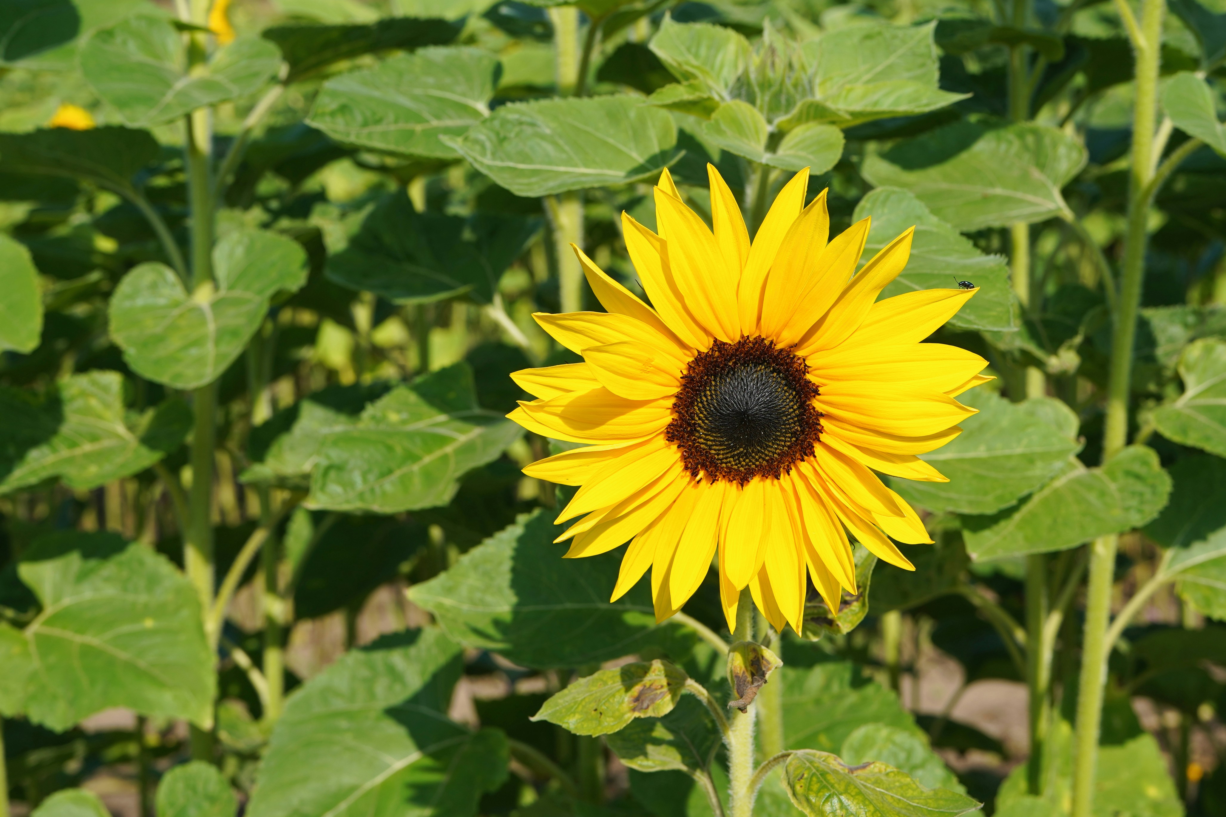 Photo by hamburgmeinefreundin