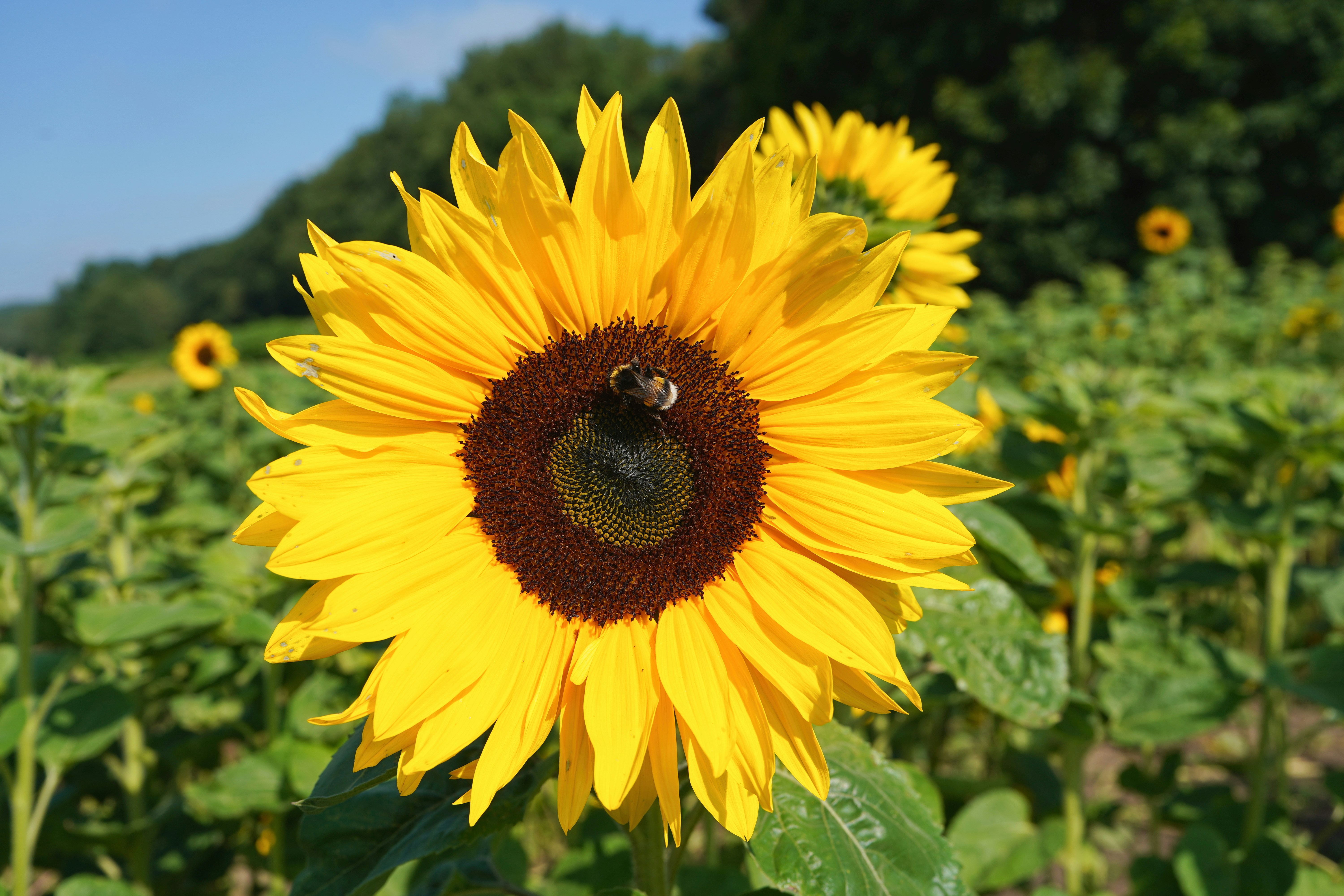 Photo by hamburgmeinefreundin