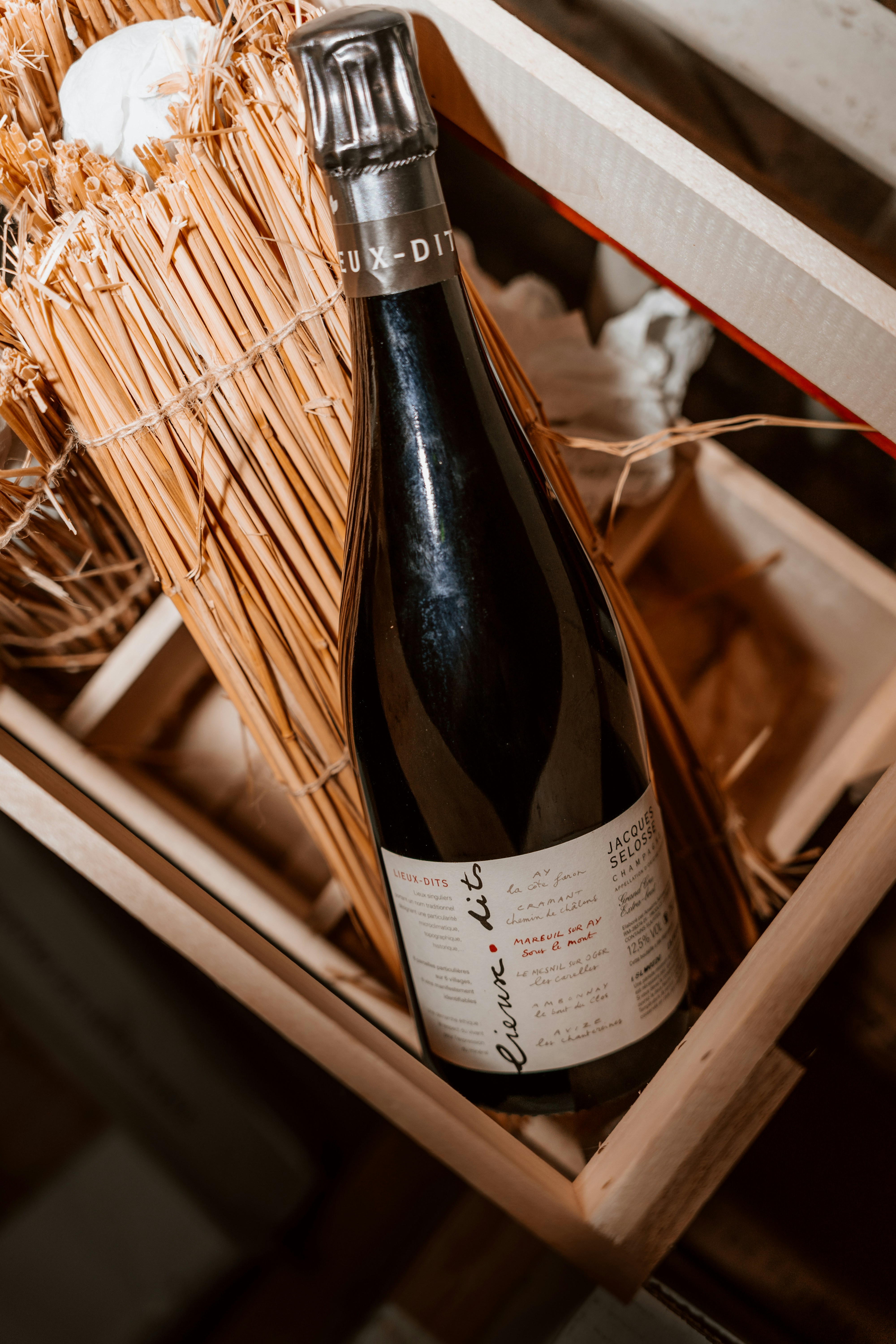 Photo by gianlucaobe