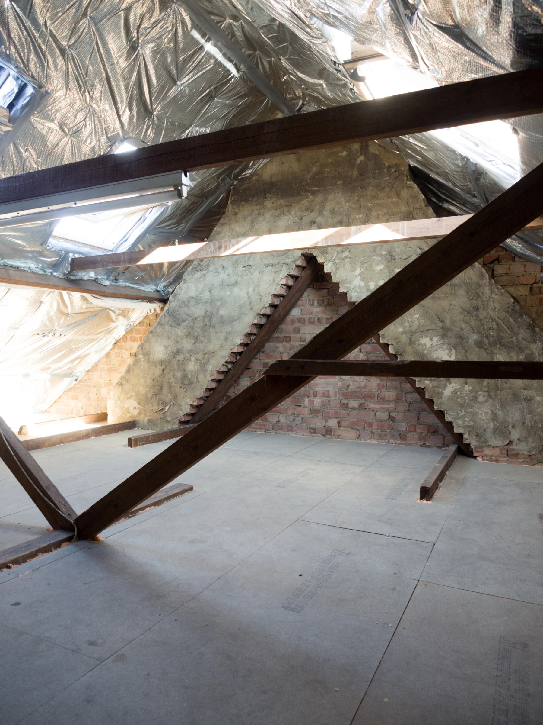 Attic insulation and exposed roof framing