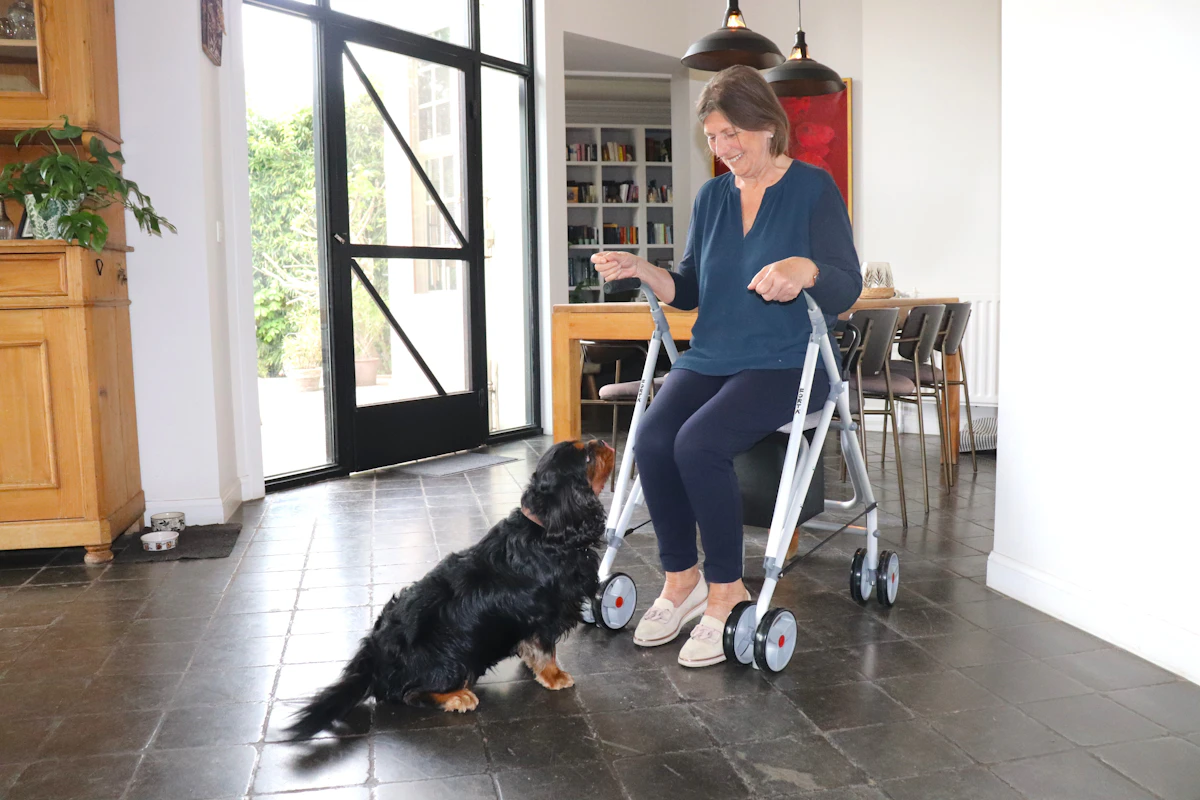 A person using a walker outdoors with their assistance dog working calmly at their side
