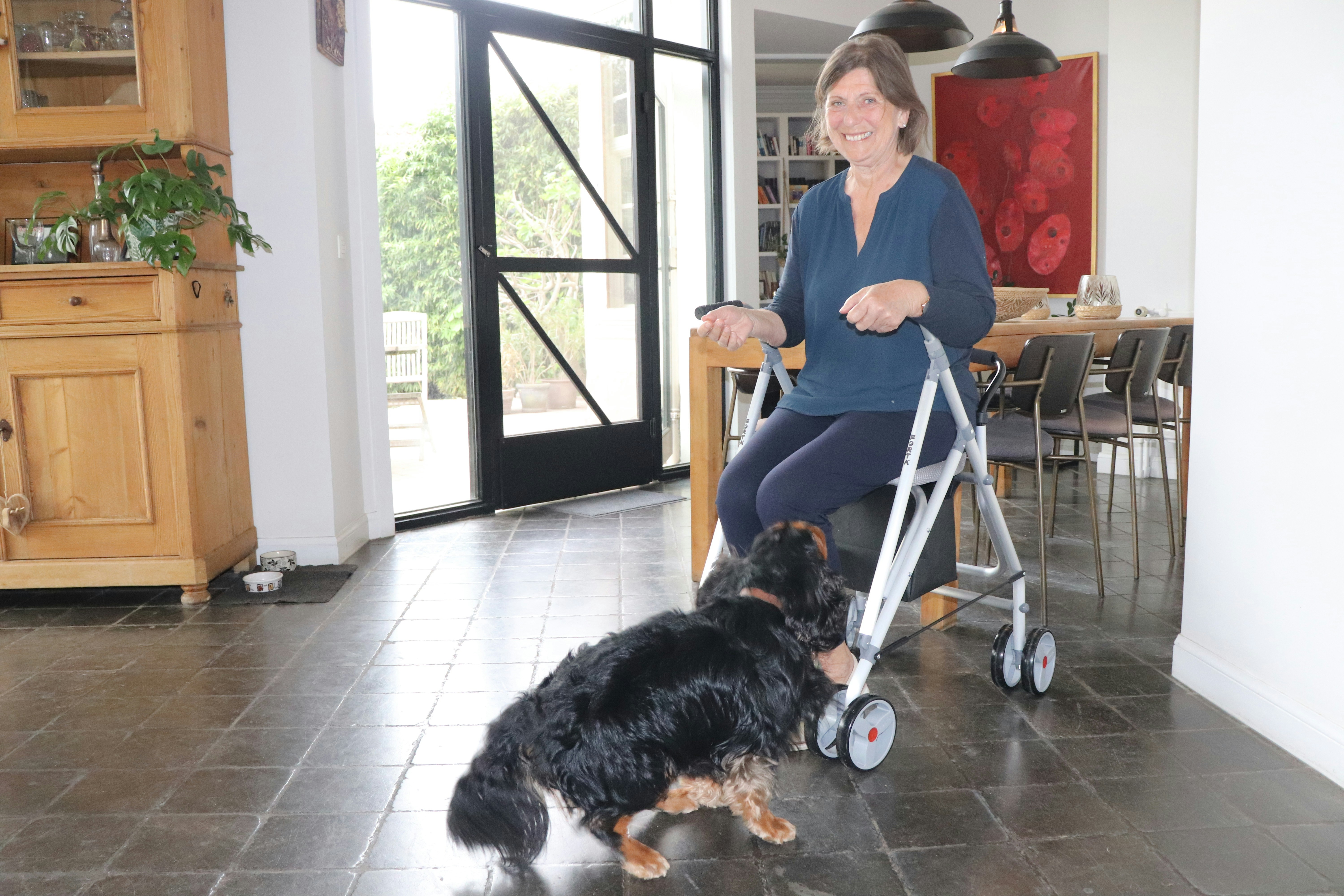 Woman with walker interacting with a dog