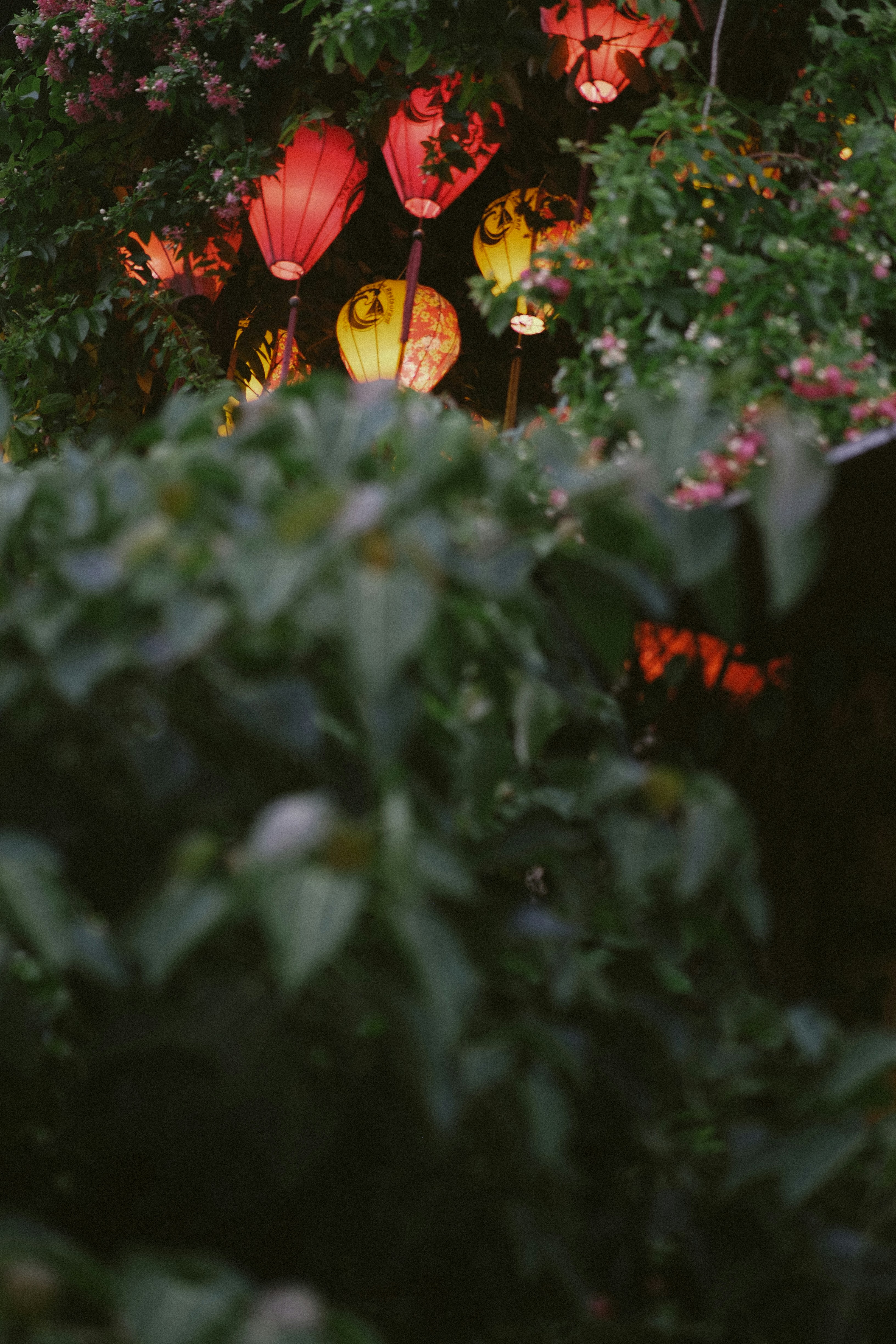 Photo by hoianphotographer