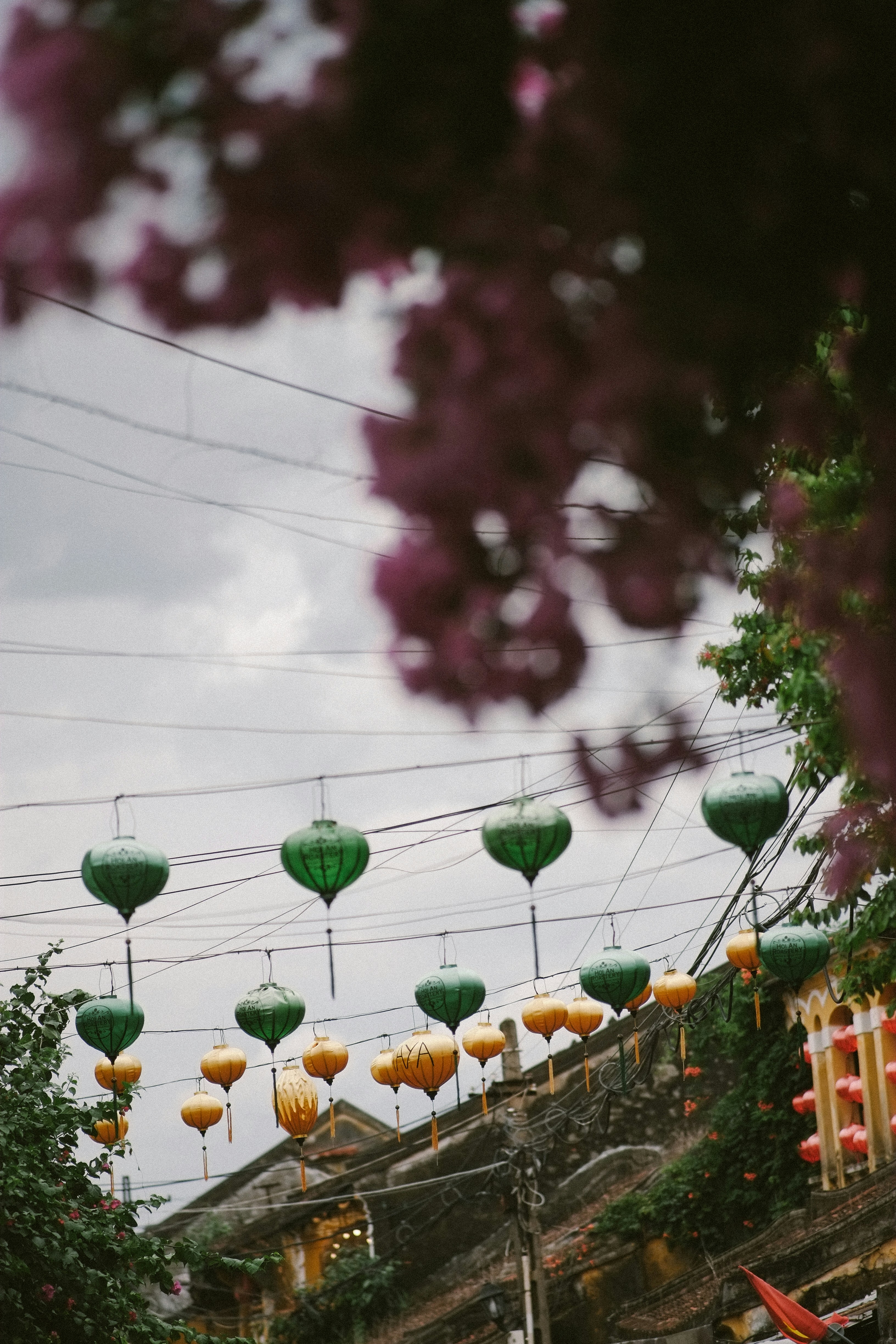 Photo by hoianphotographer