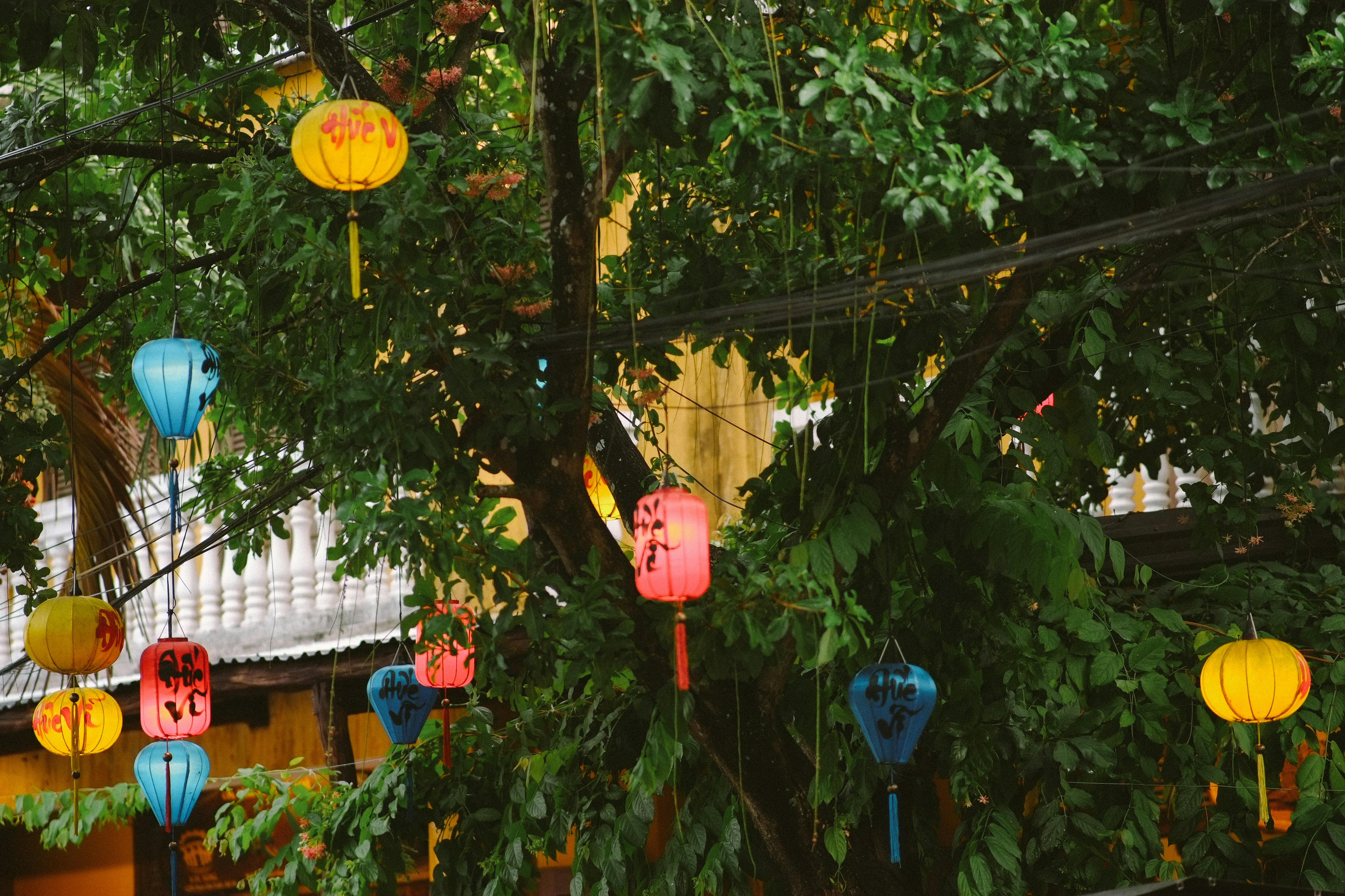 Photo by hoianphotographer