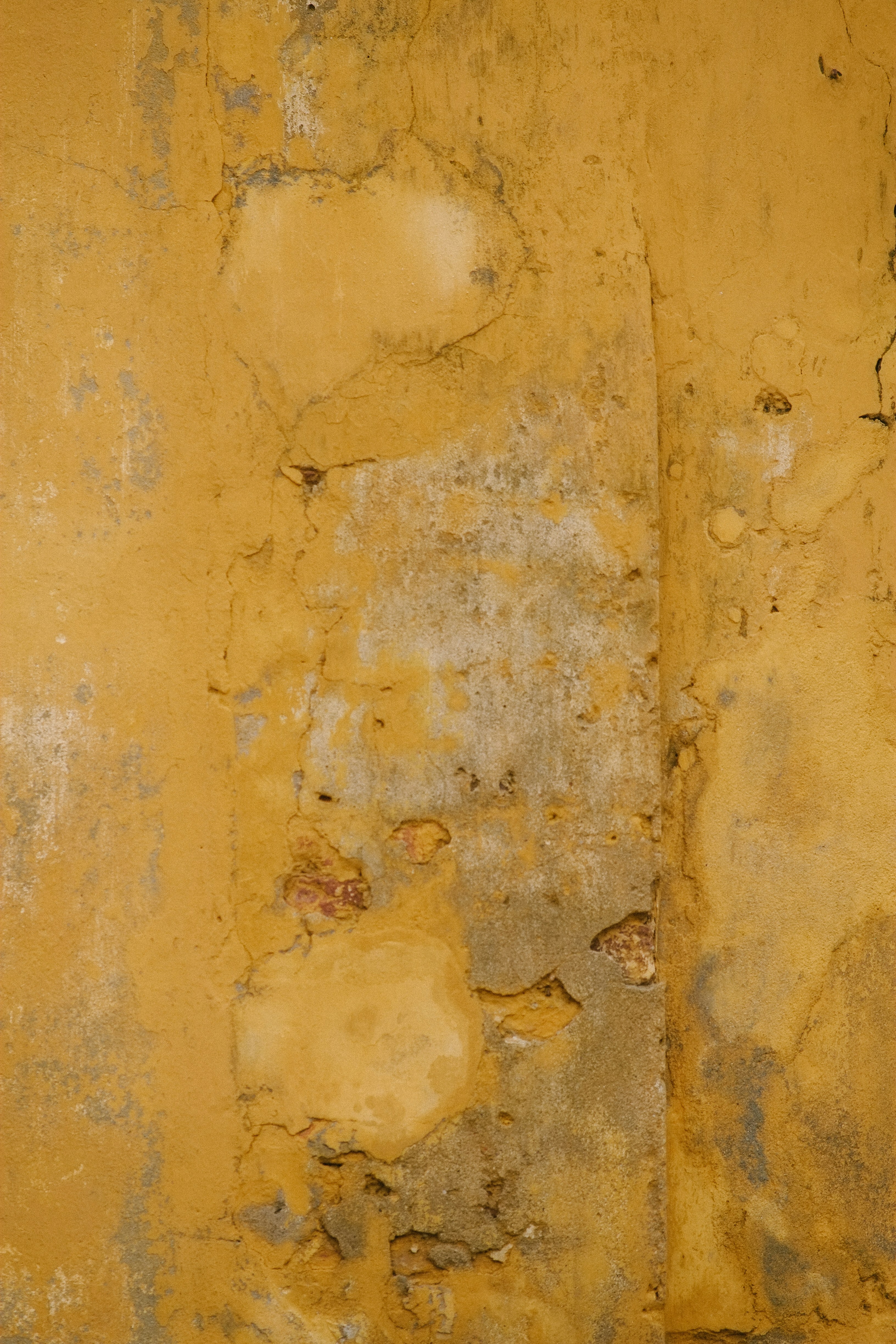 Photo by hoianphotographer