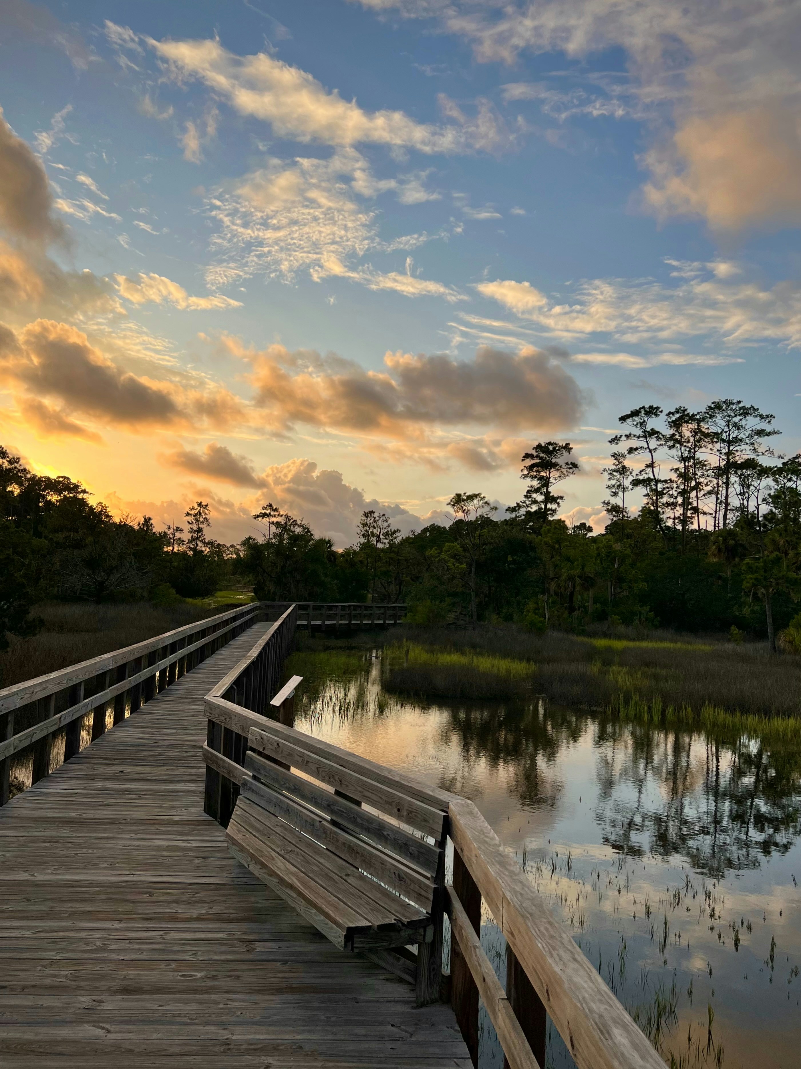 A wooden boardwalk leads through a beautiful marsh.