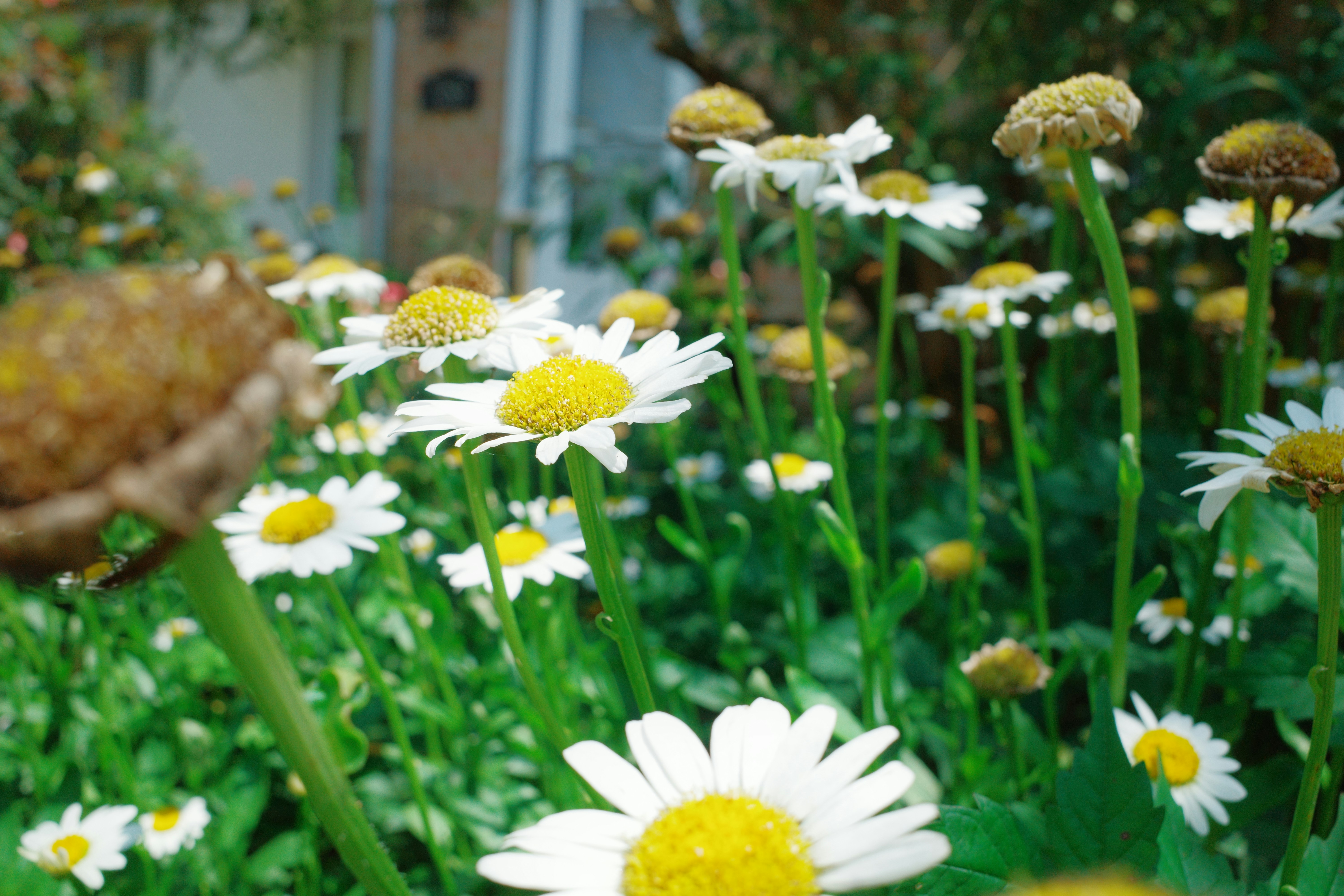 Photo by hirokonishimura