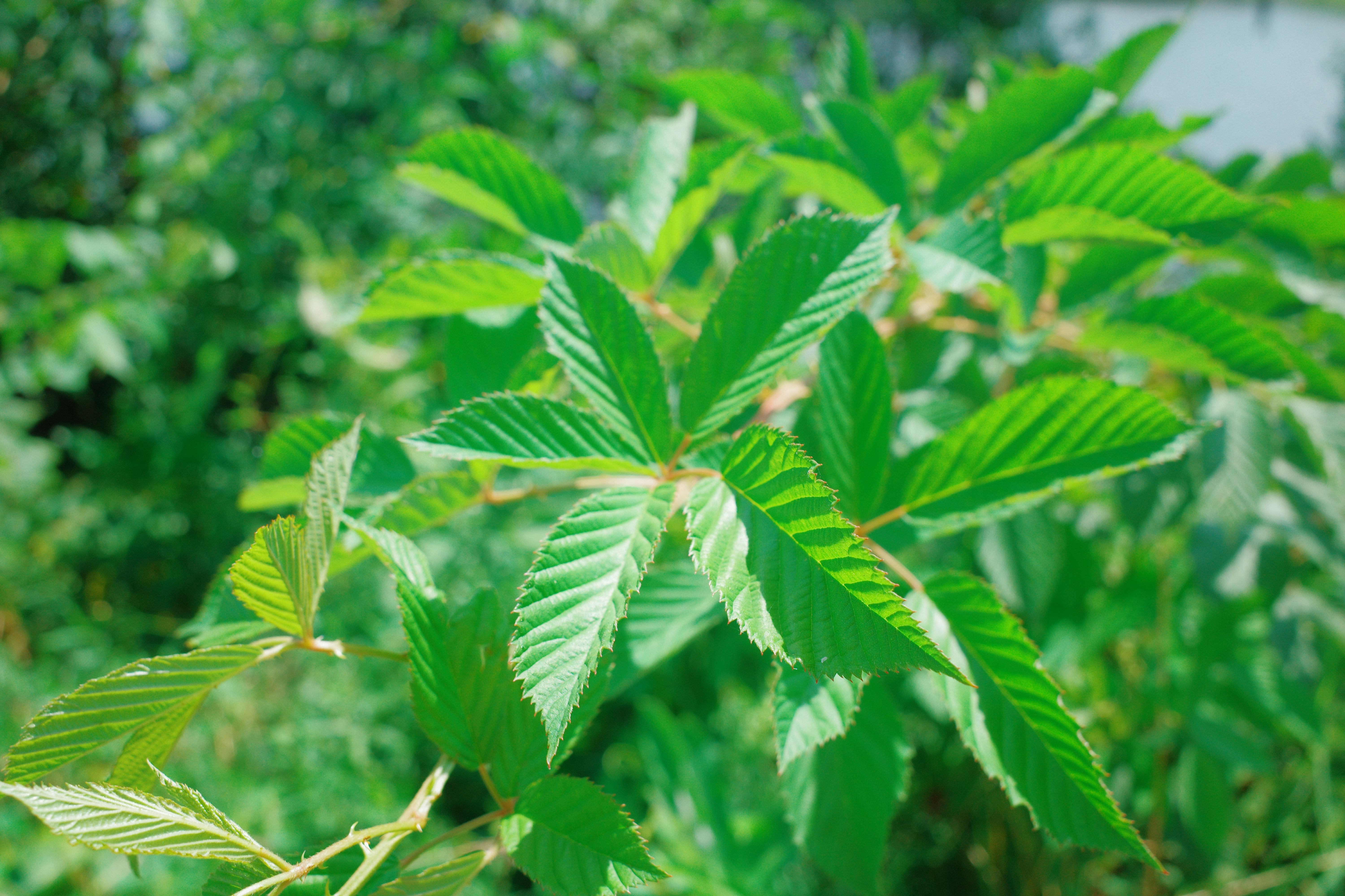 Photo by hirokonishimura