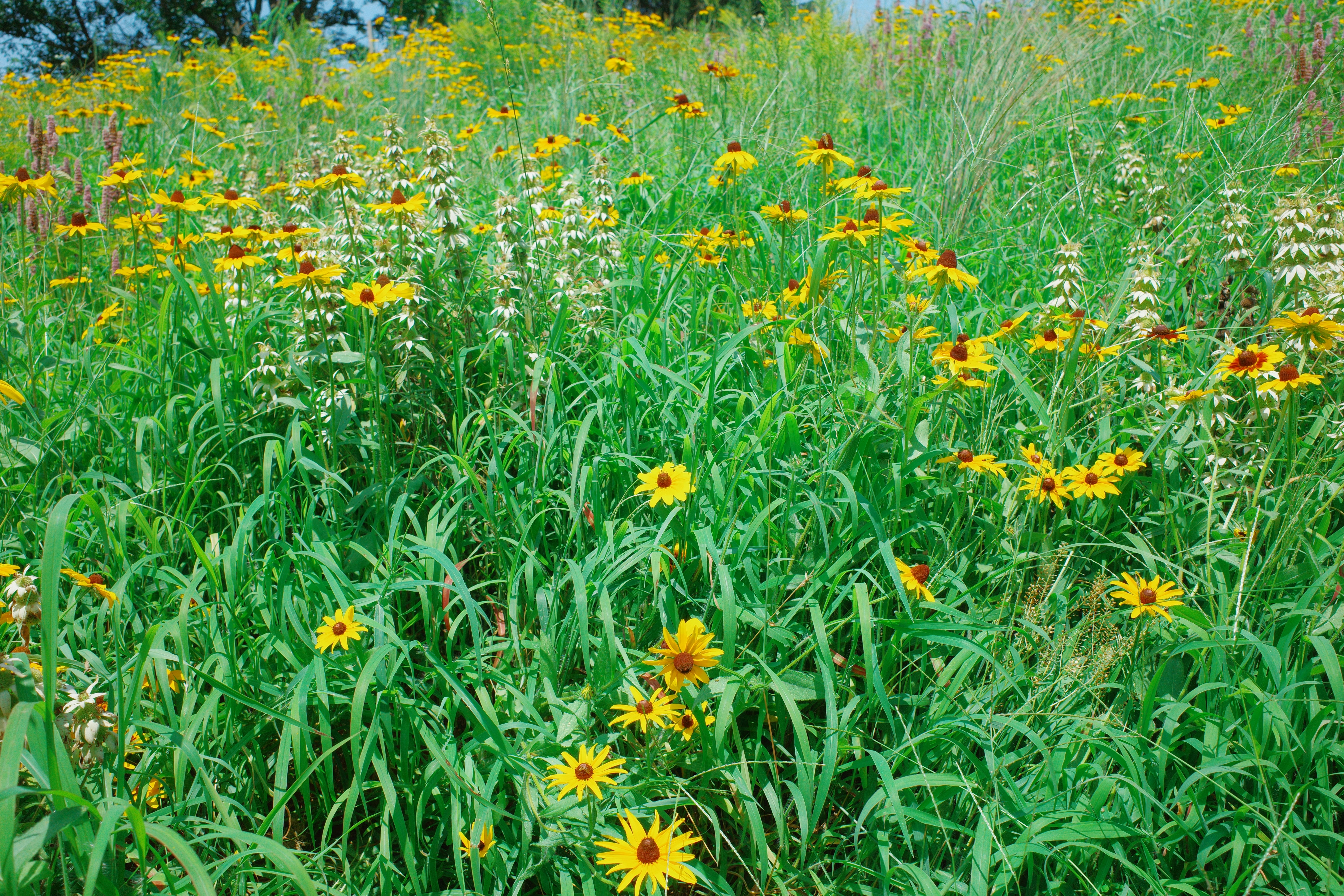 Photo by hirokonishimura