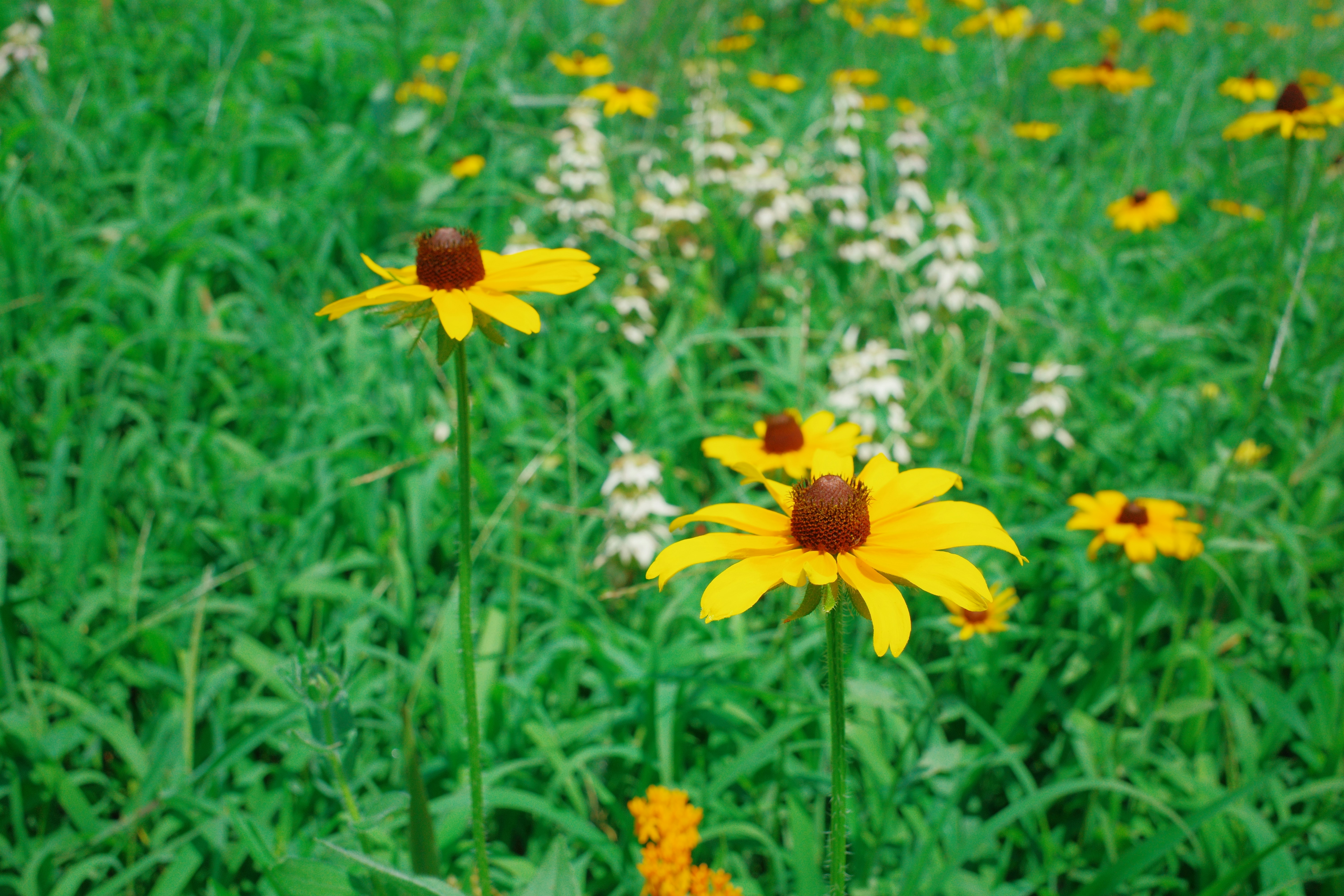 Photo by hirokonishimura