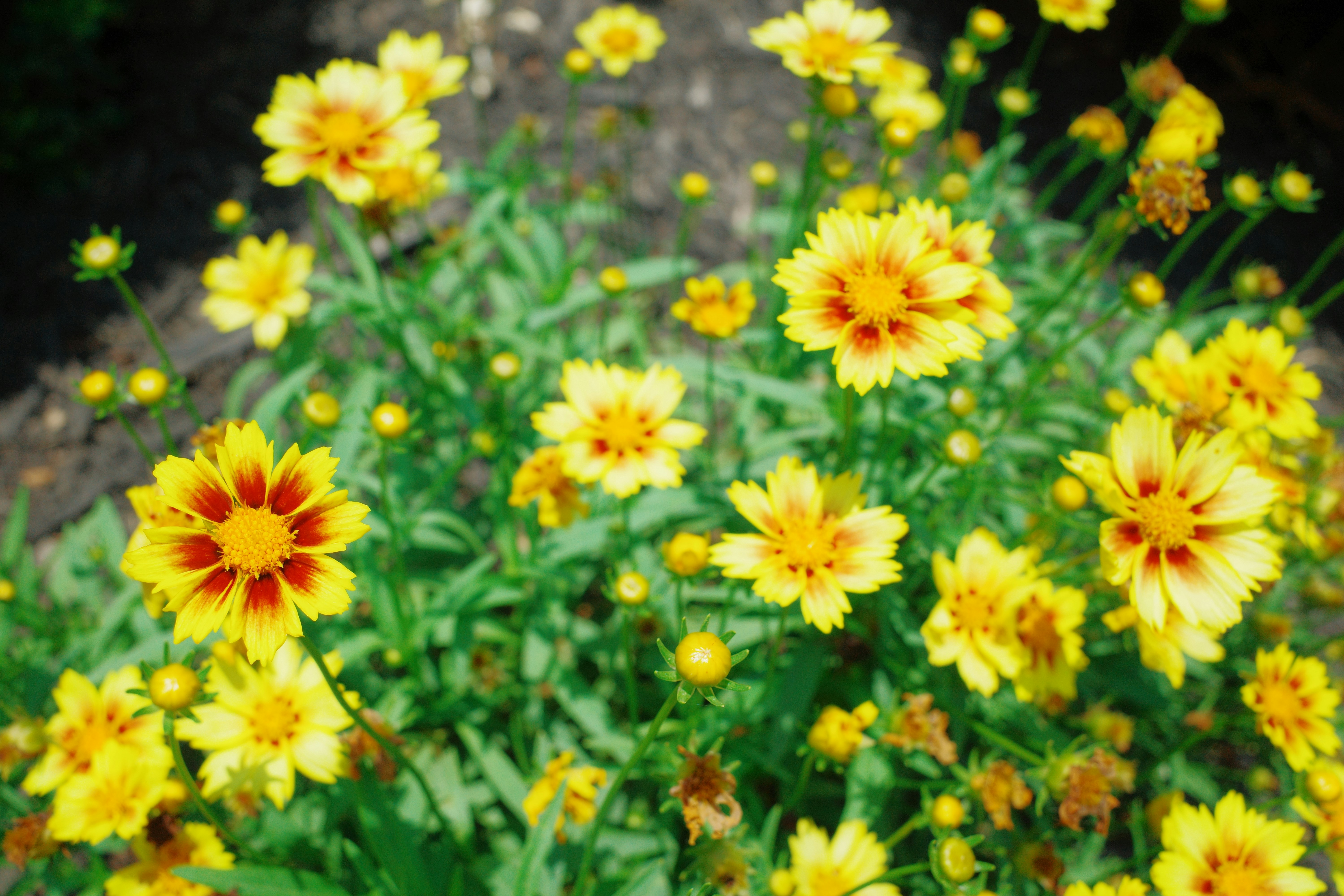 Photo by hirokonishimura