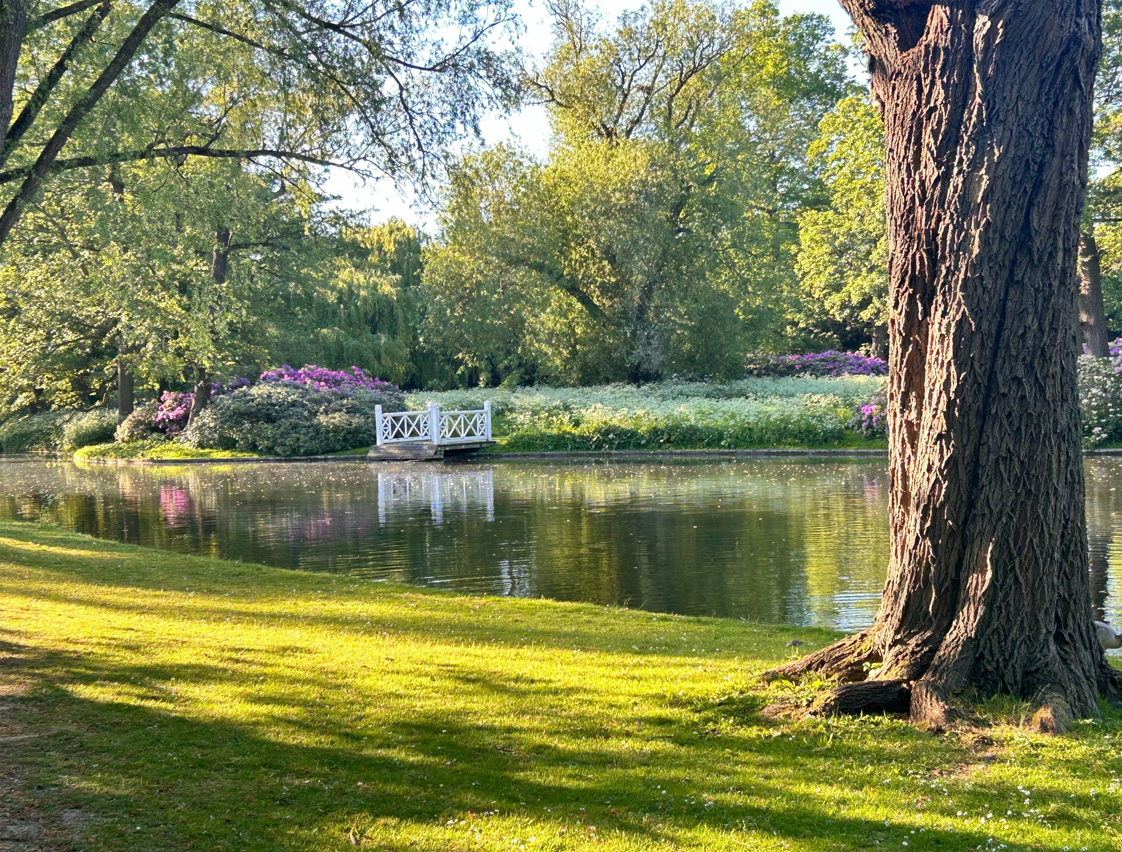 A peaceful lake reflects lush green trees.