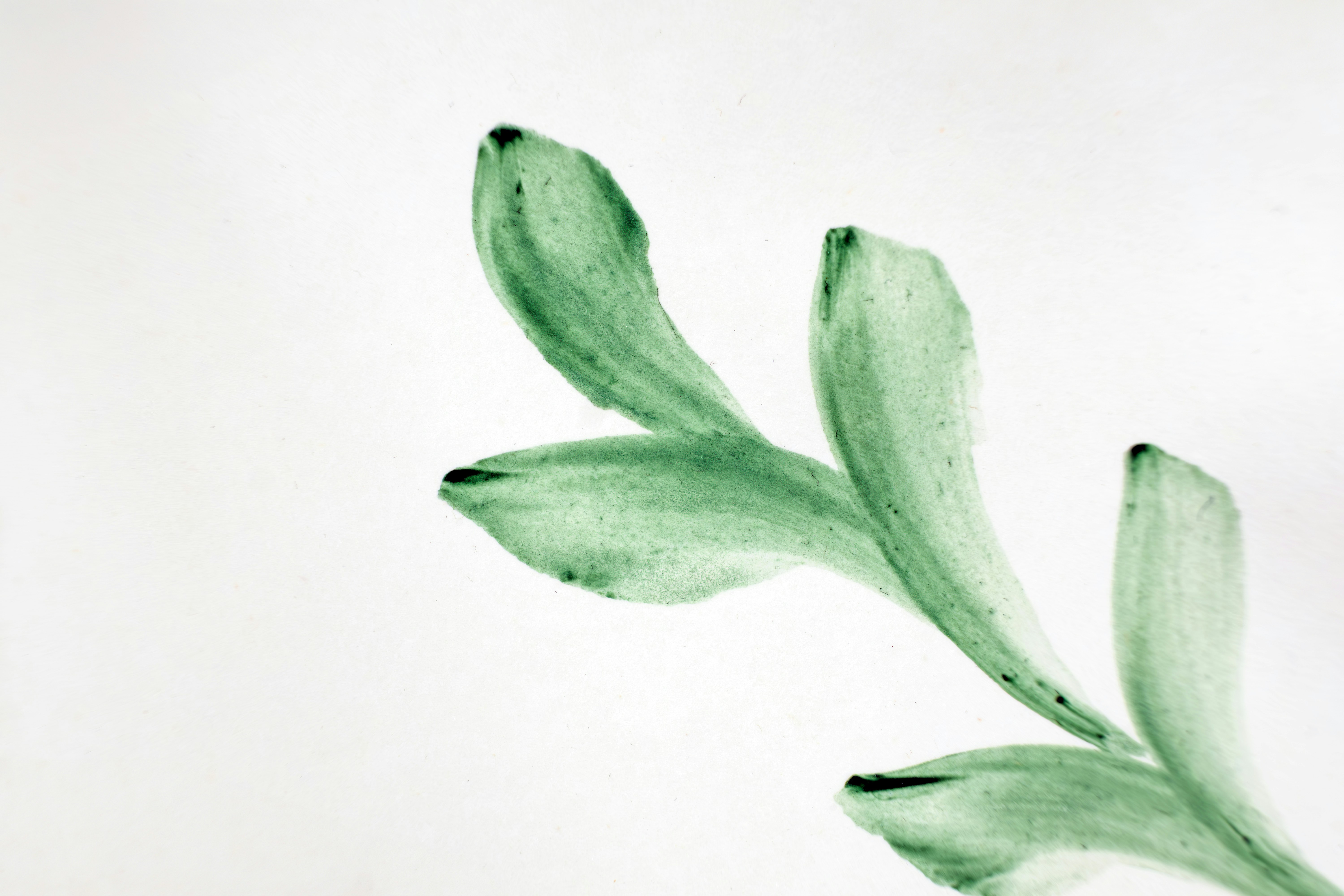 Photo by markobrecic