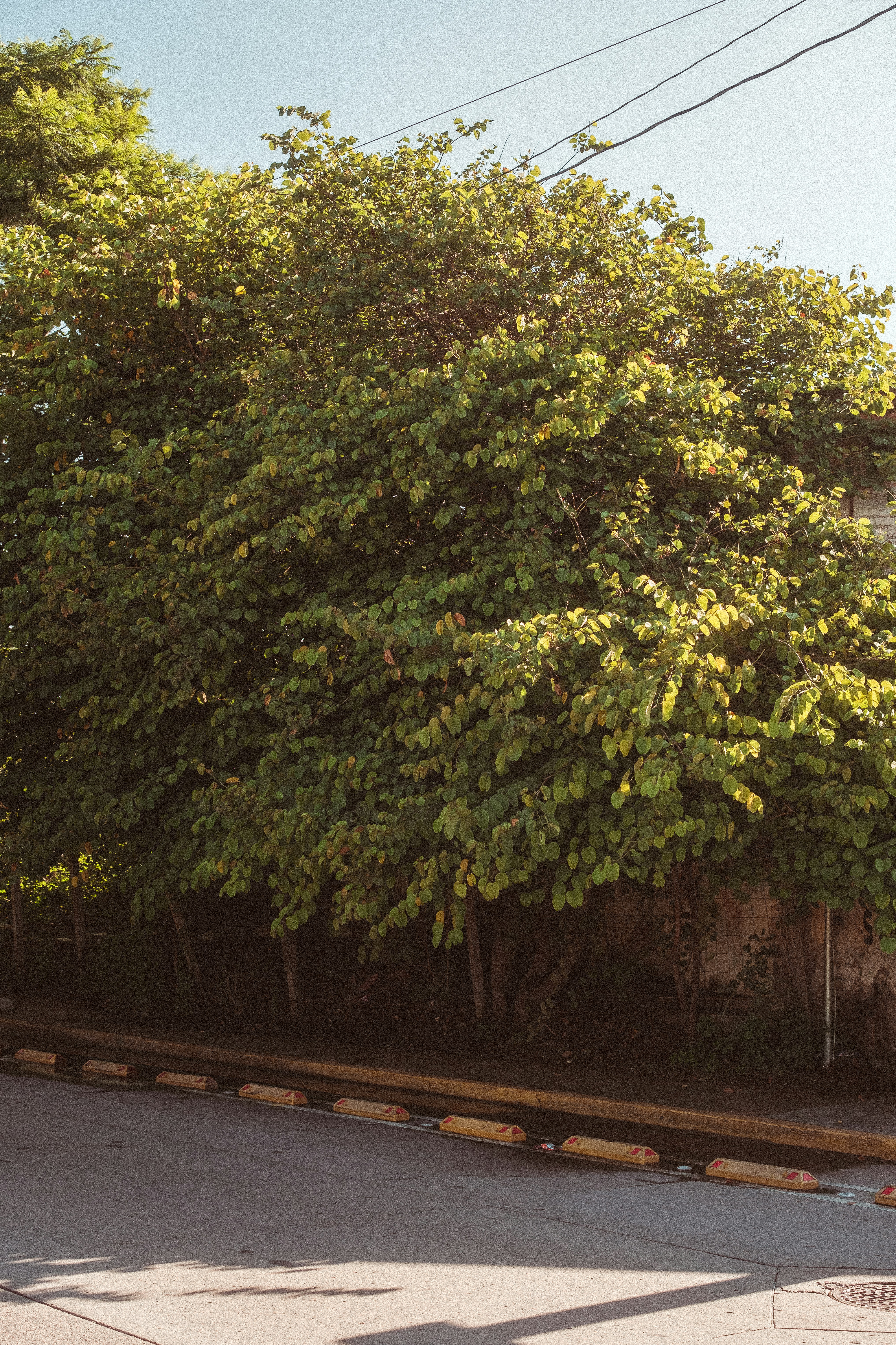 Photo by alex_quezada