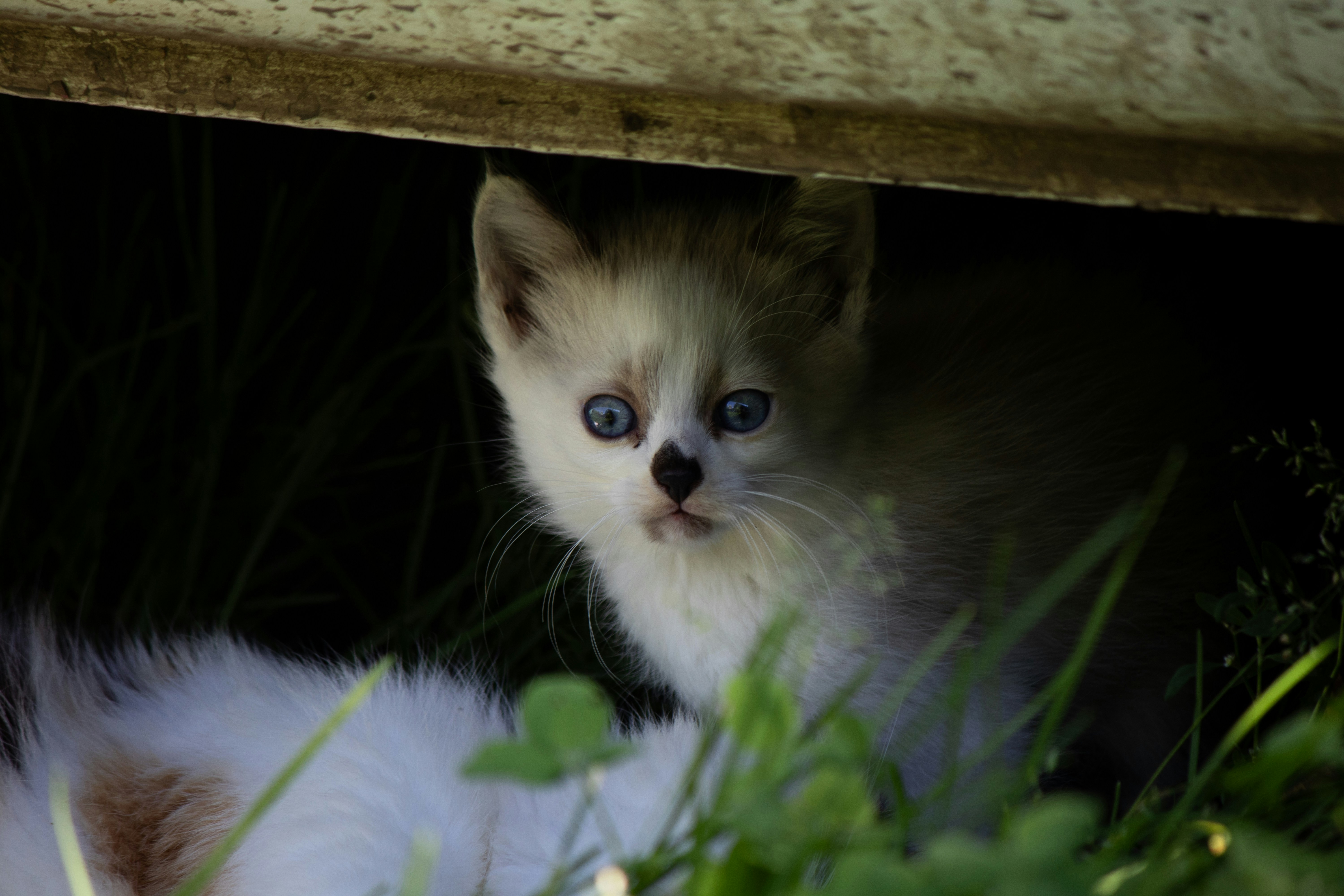 Photo by big_head_hunter