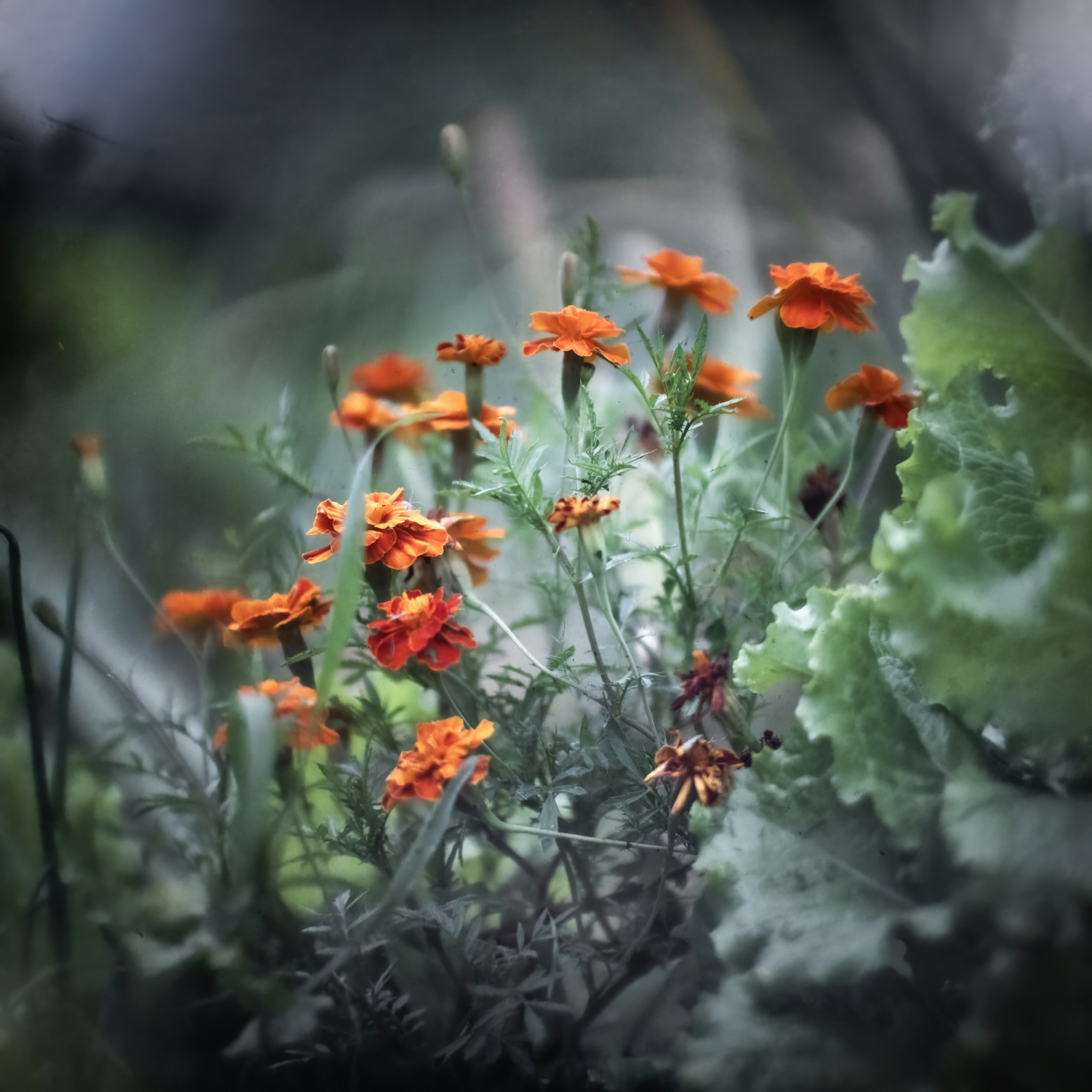 Photo by andrilliardbond