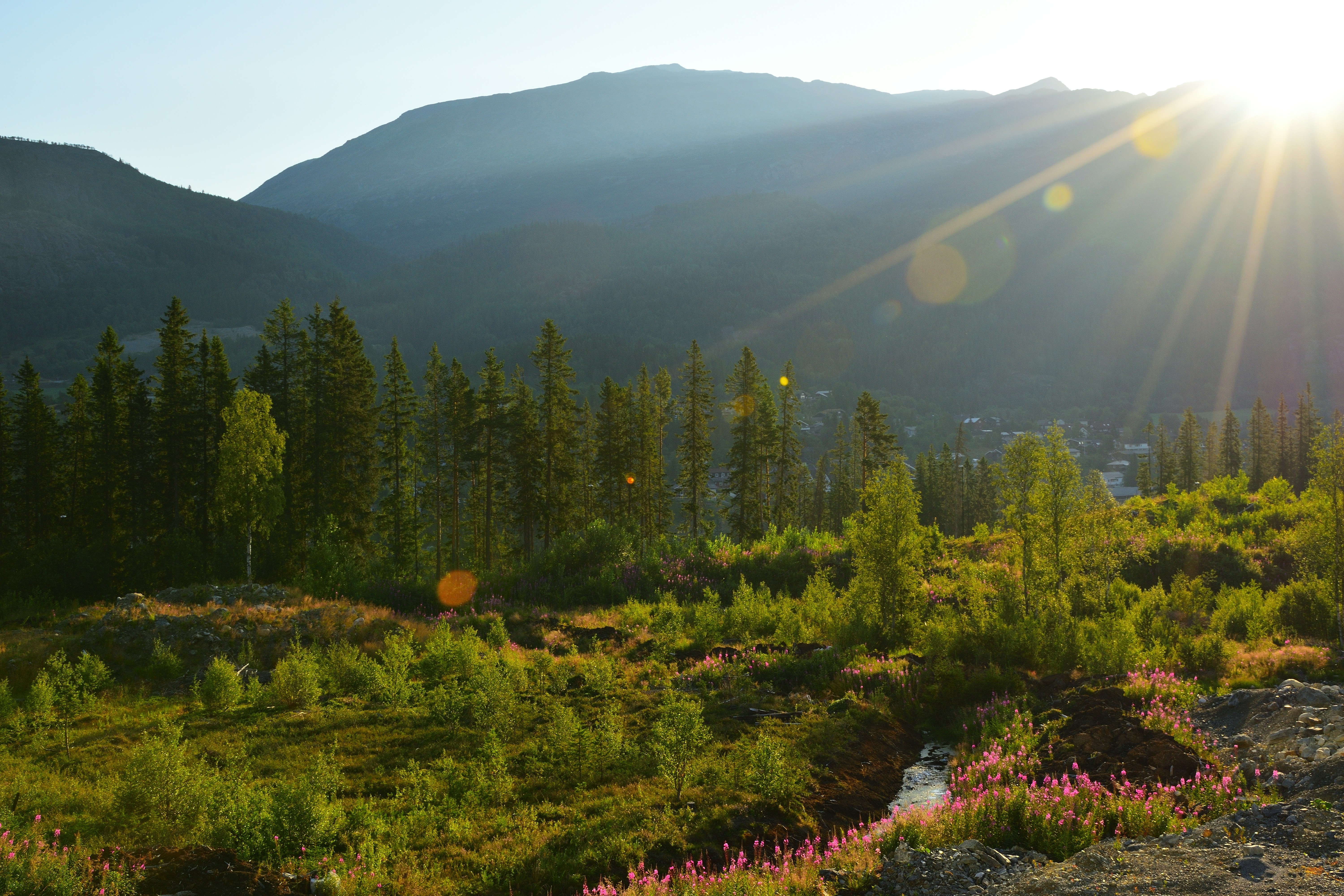 Sun shining over mountains and trees at sunrise.