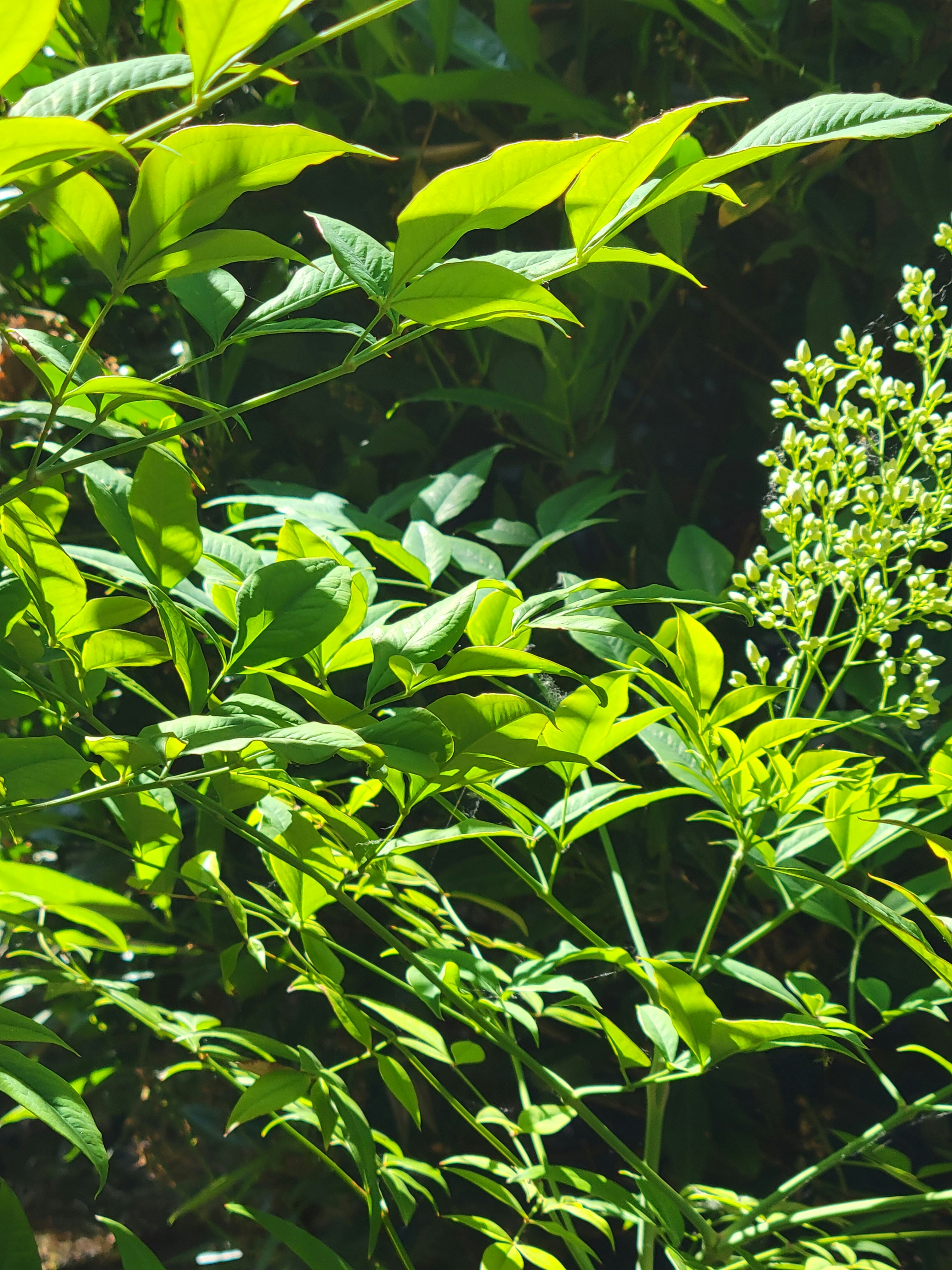 Photo by haripriya_k