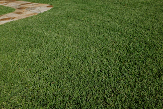 Green lawn with a stone pathway.