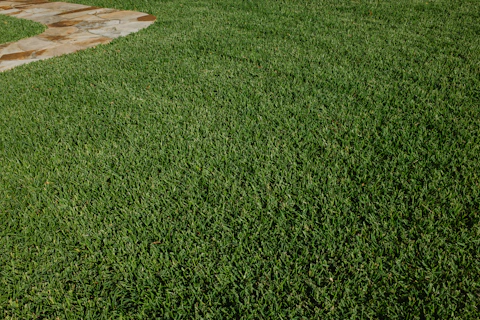 Green lawn with a stone pathway.