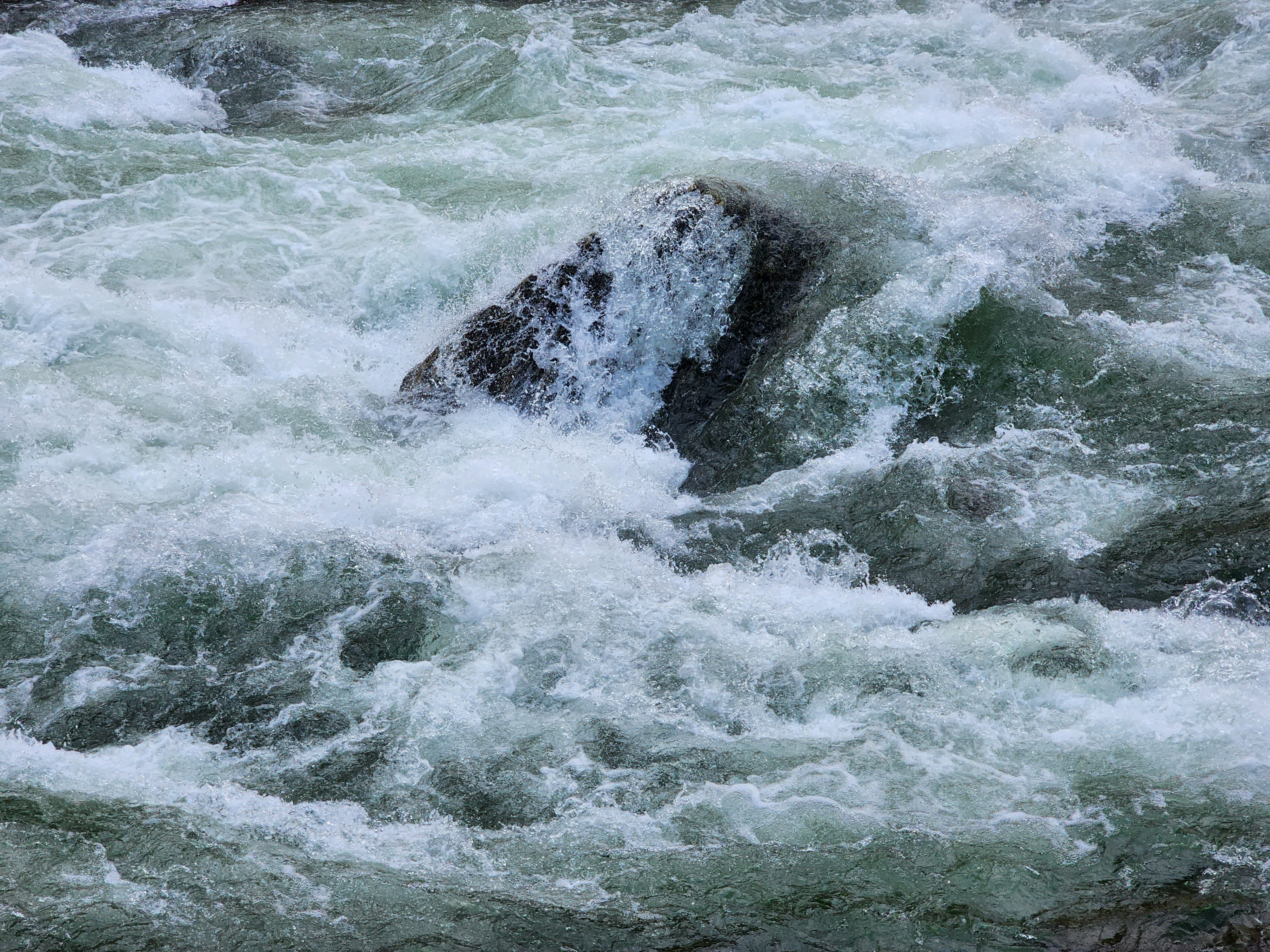 Photo by rajkumar_kk