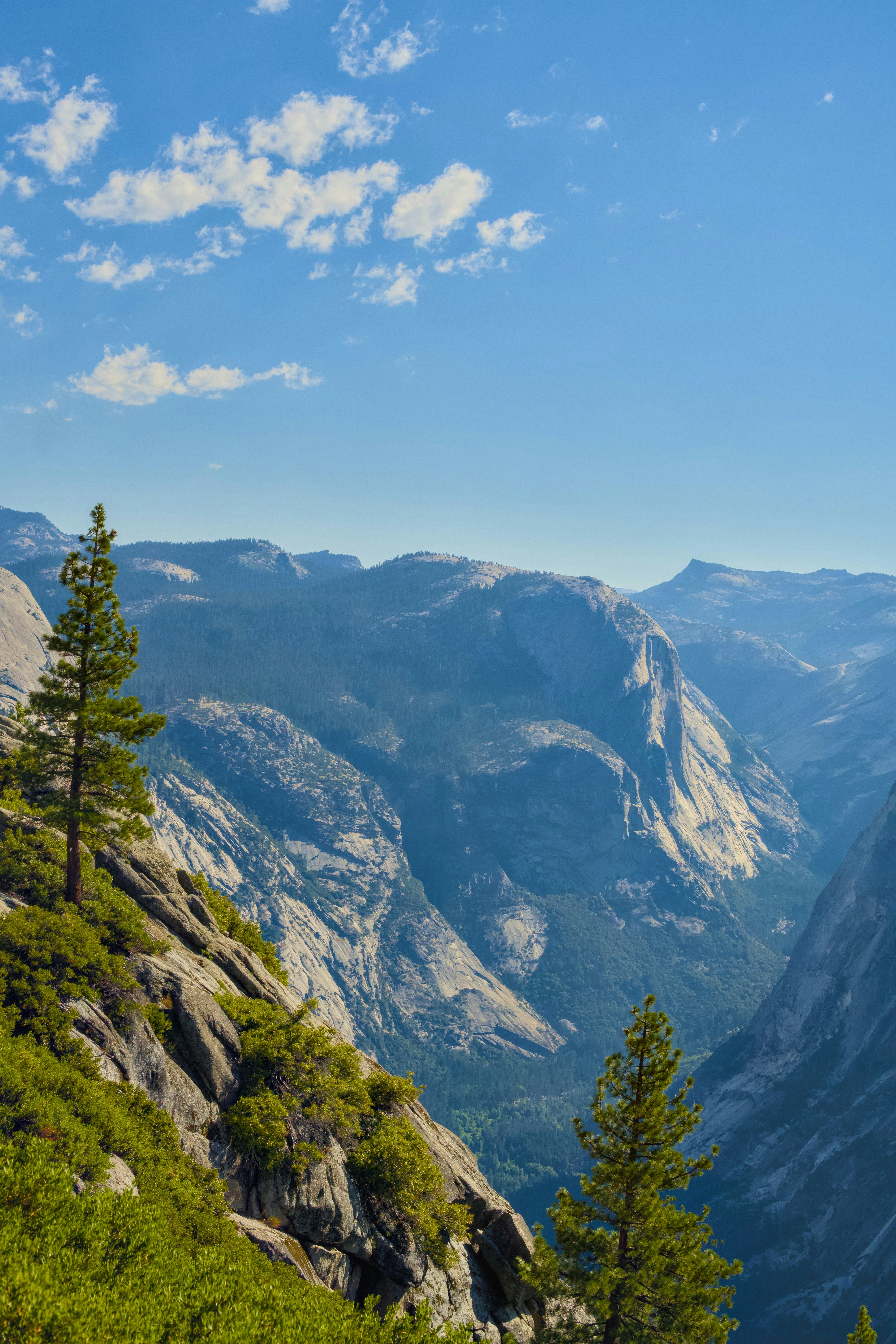 Photo by spencer_demera