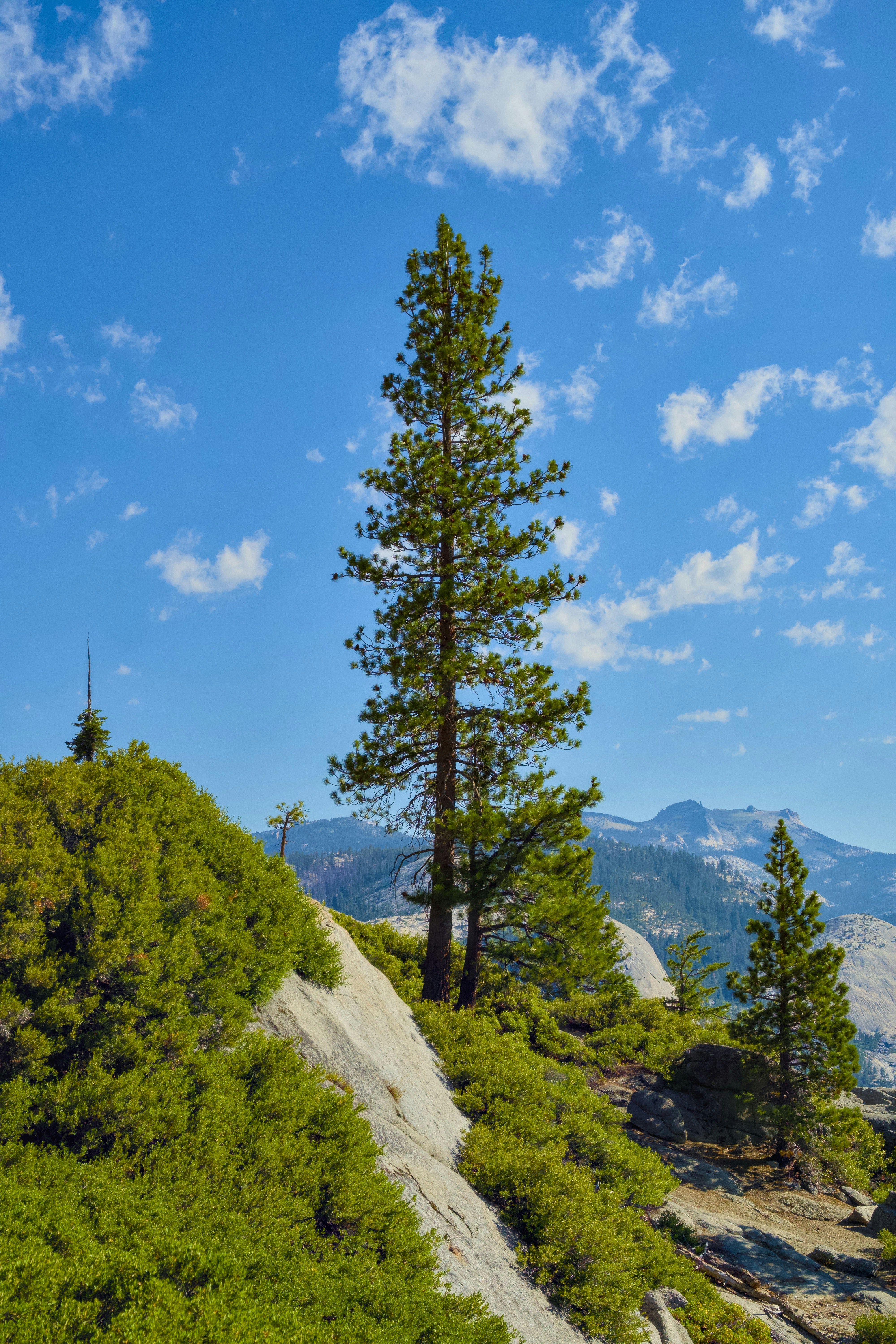 Photo by spencer_demera