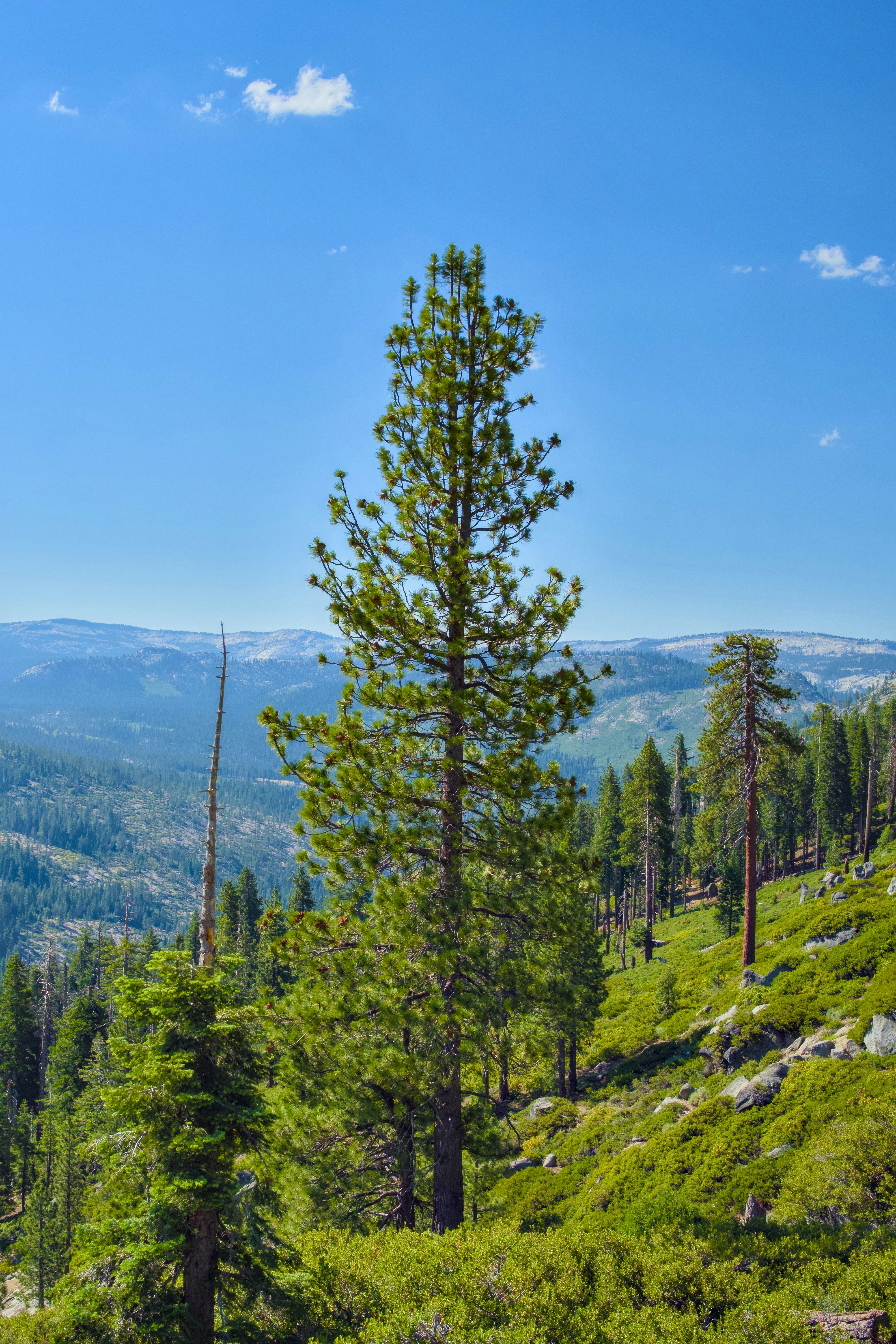 Photo by spencer_demera