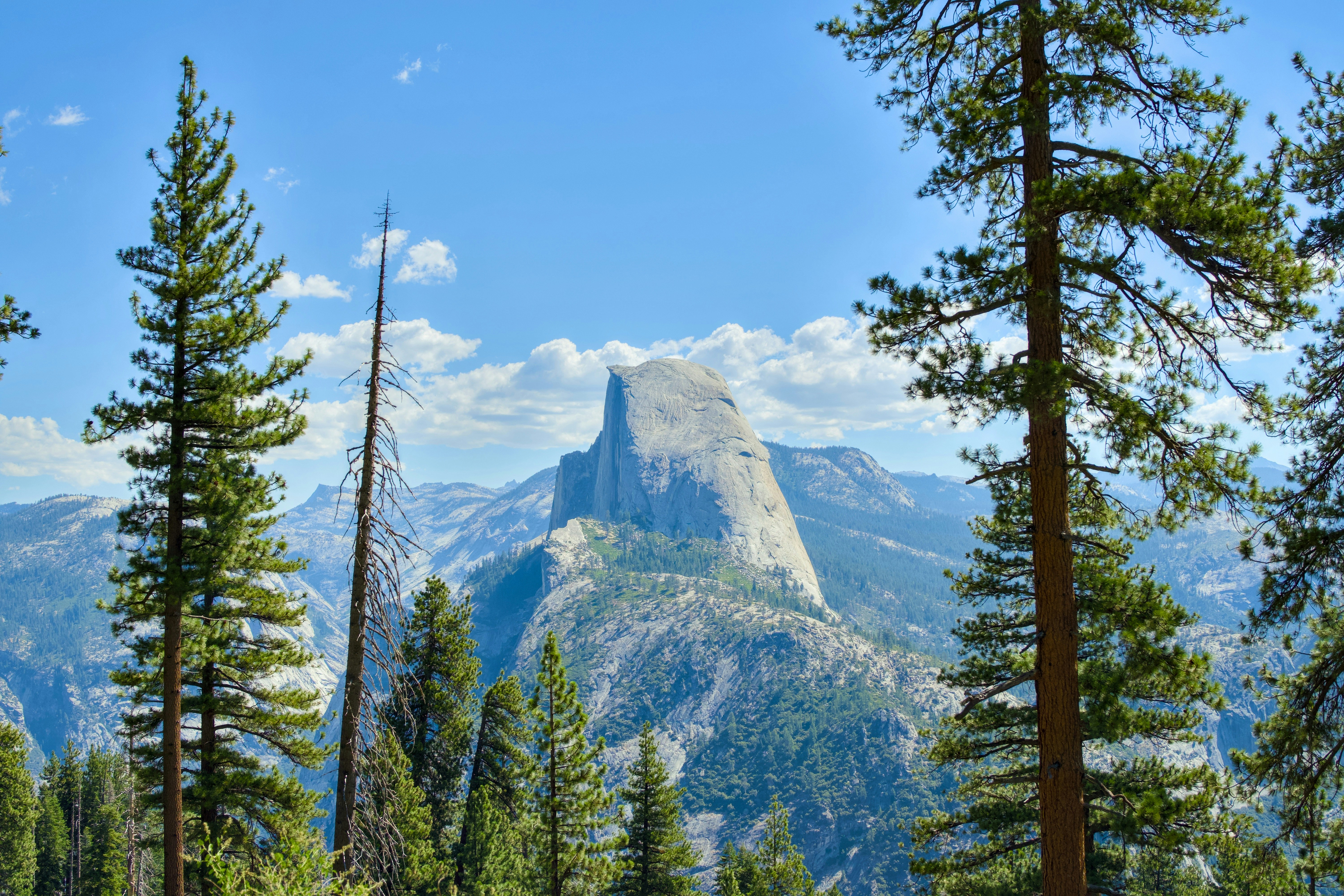 Photo by spencer_demera