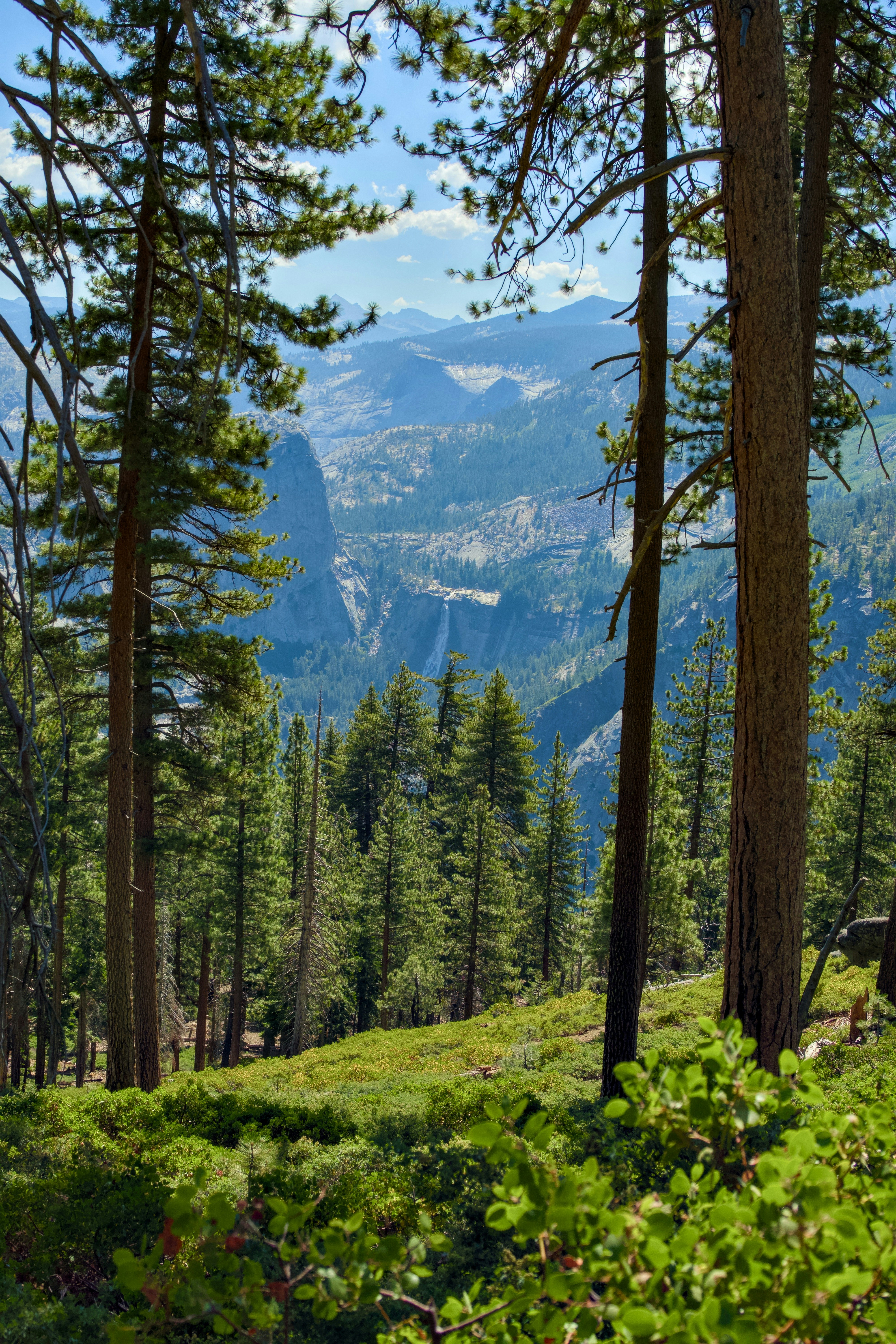 Photo by spencer_demera