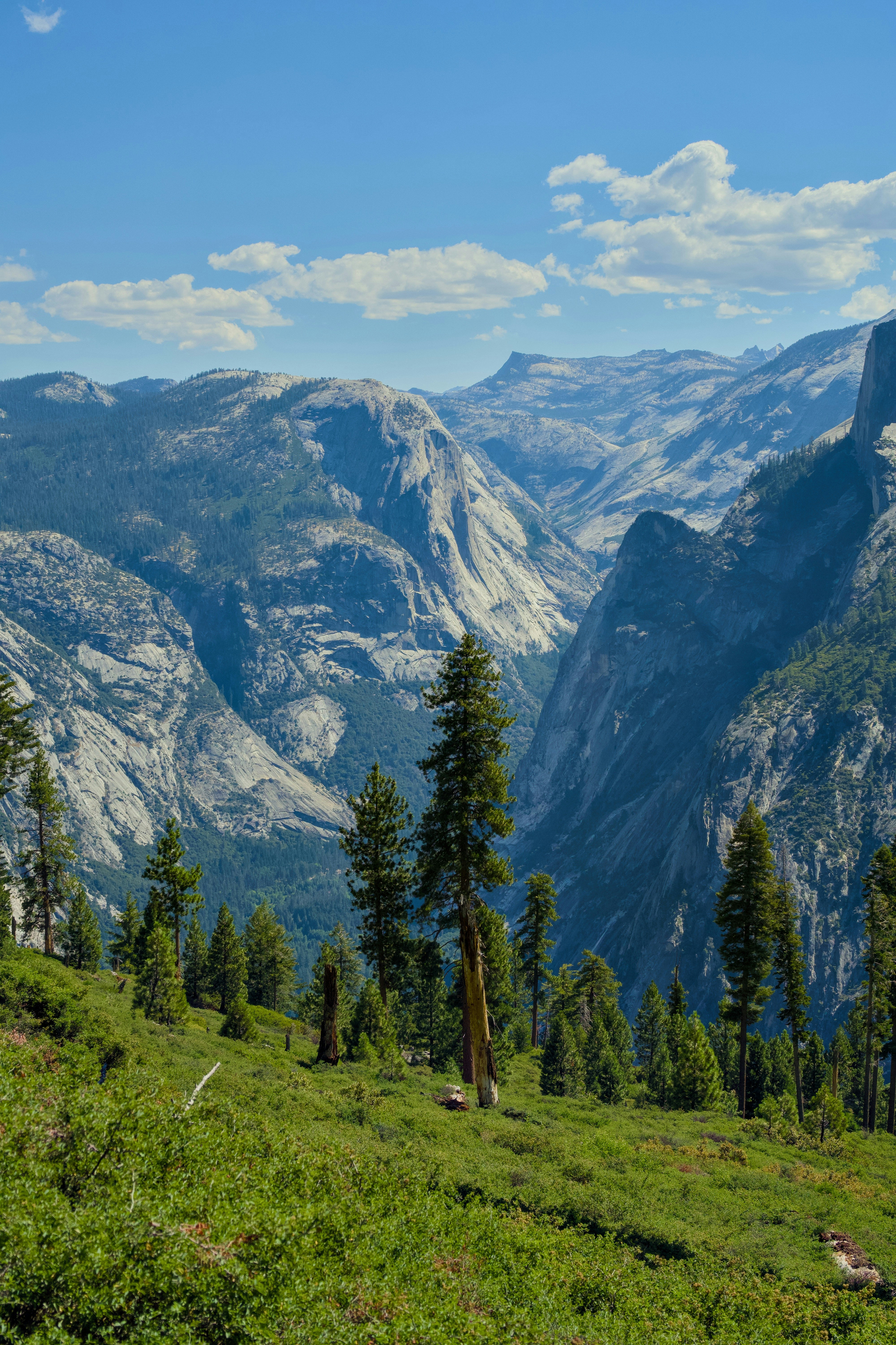 Photo by spencer_demera