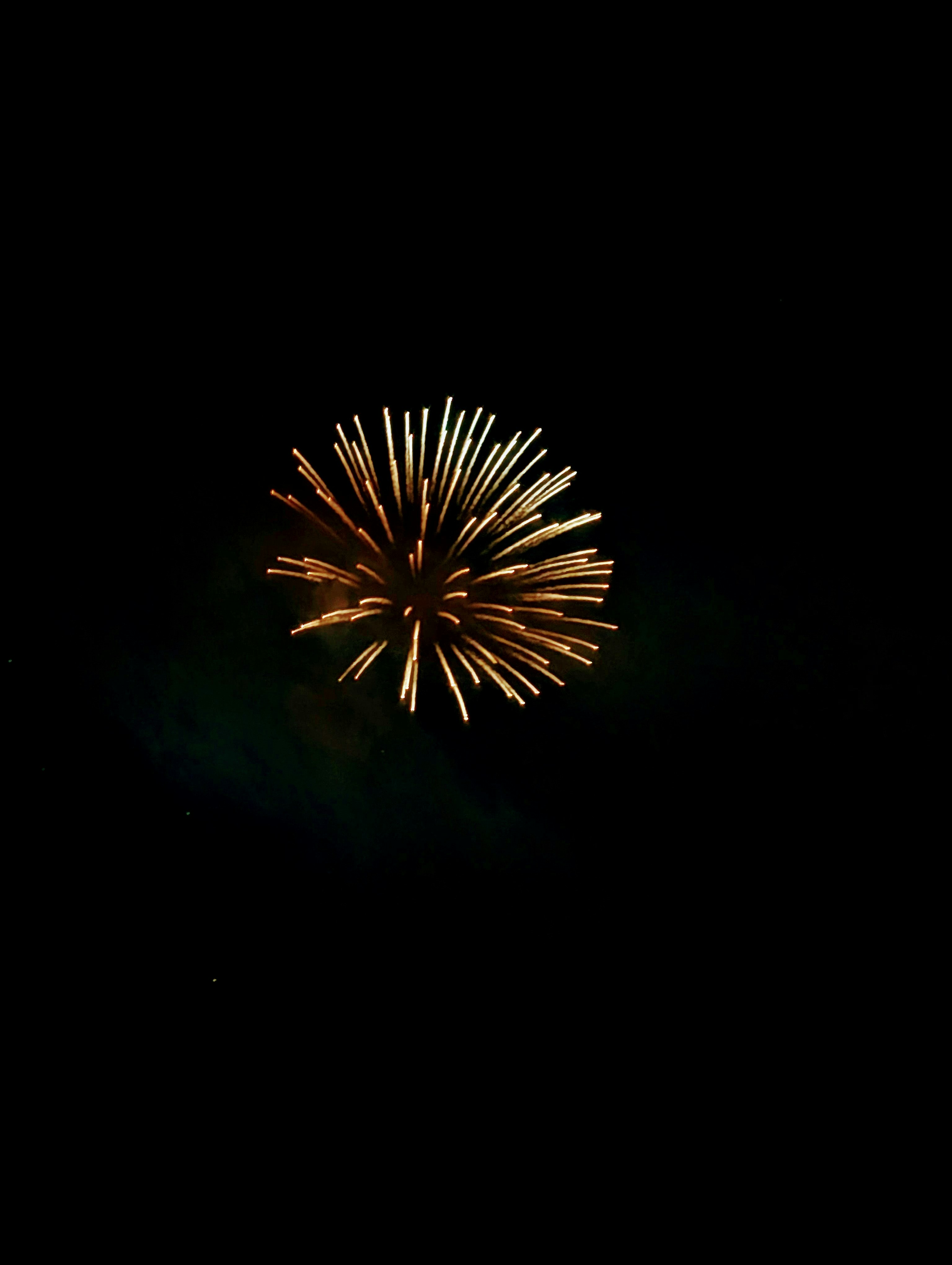 A fireworks display explodes in the night sky.