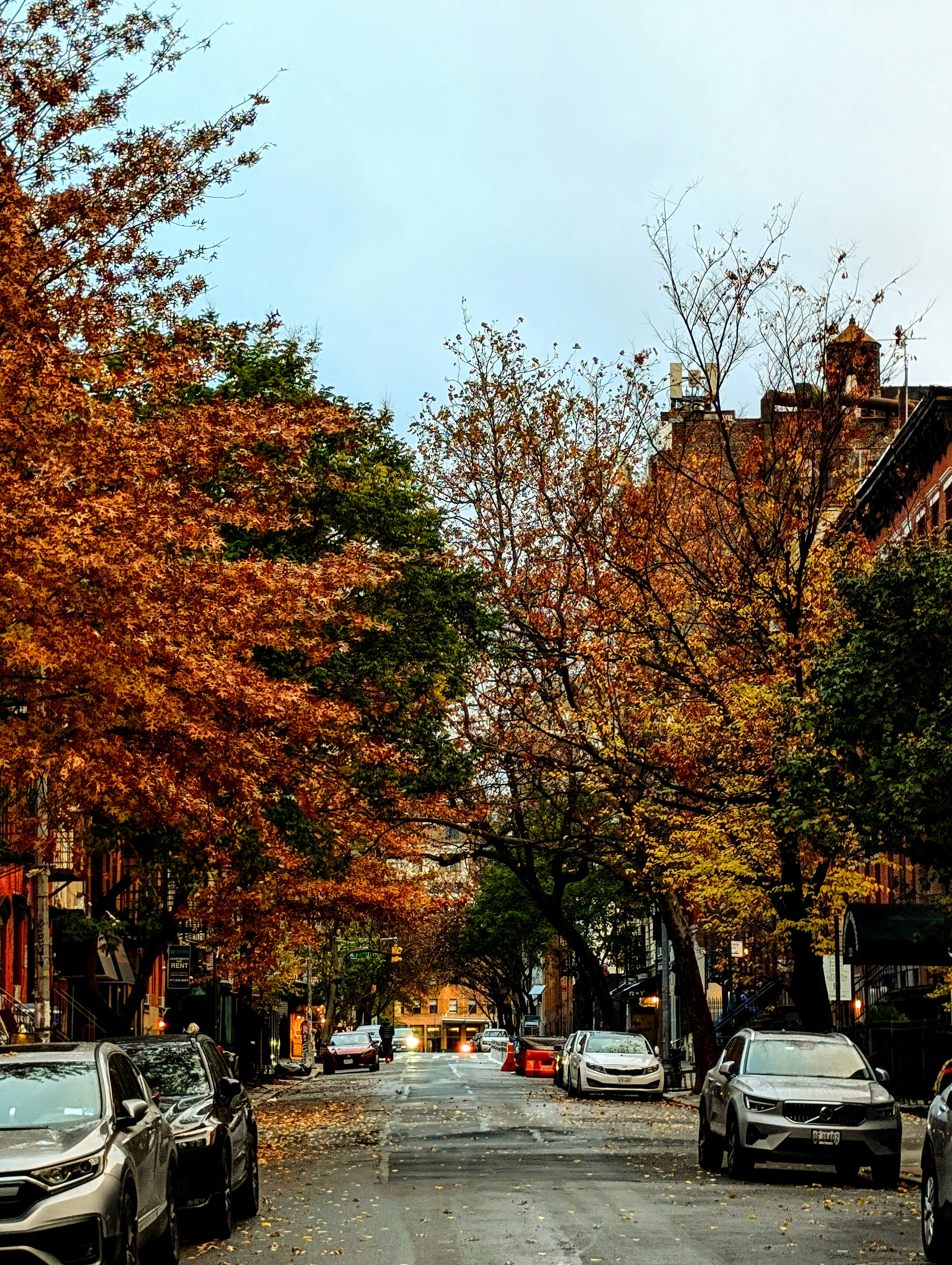 Photo by raja_palagummi