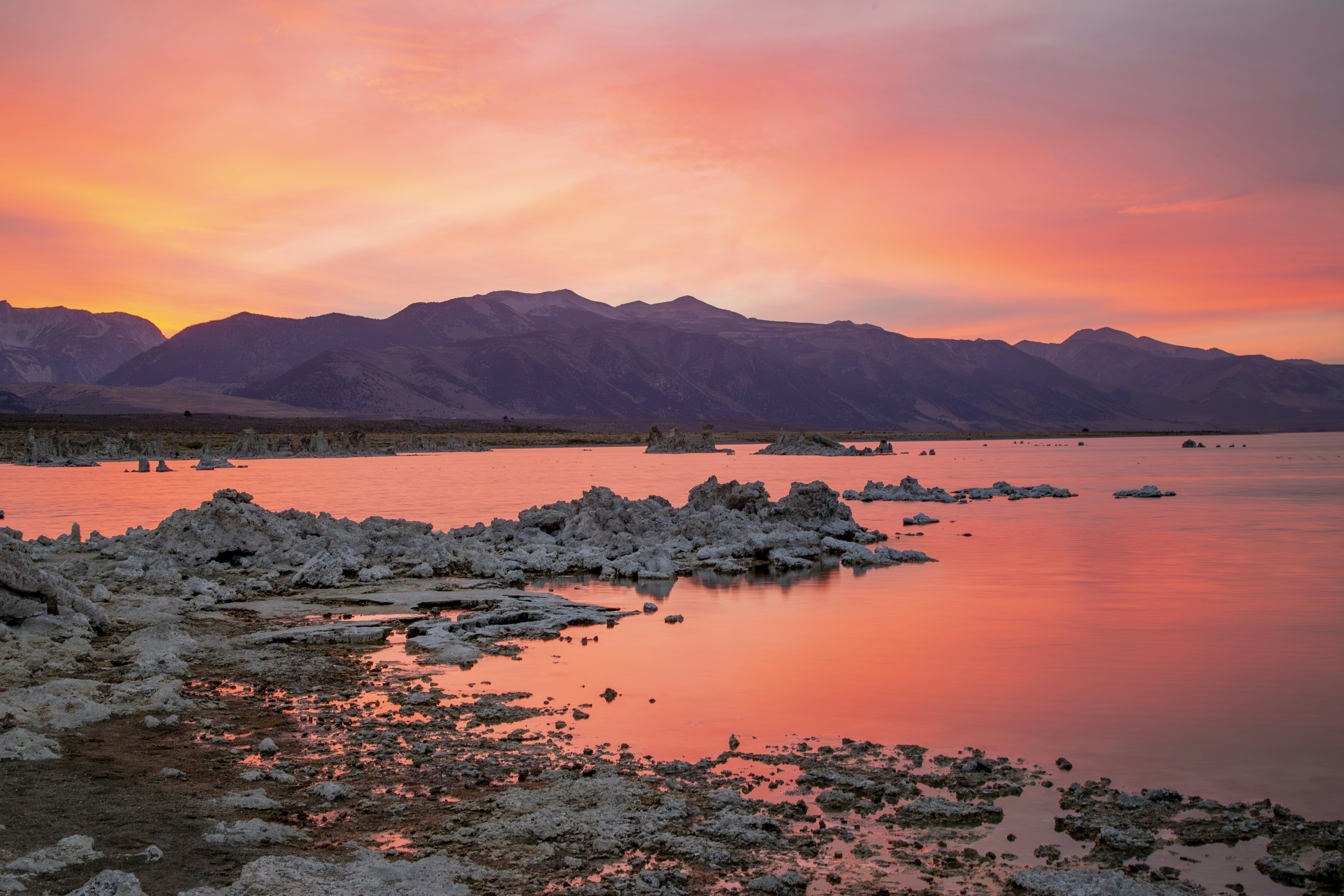 Photo by leo_visions_