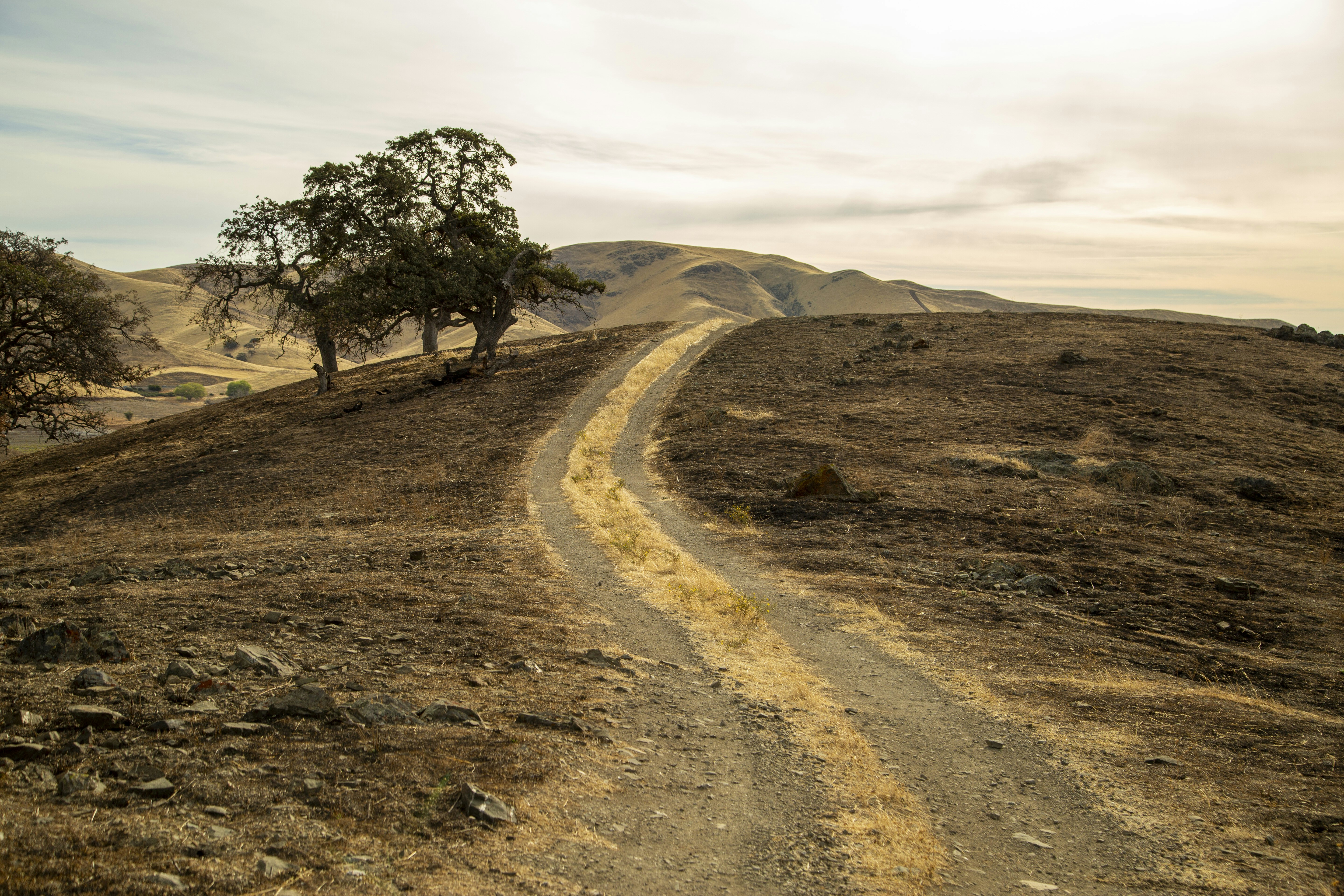 Photo by leo_visions_