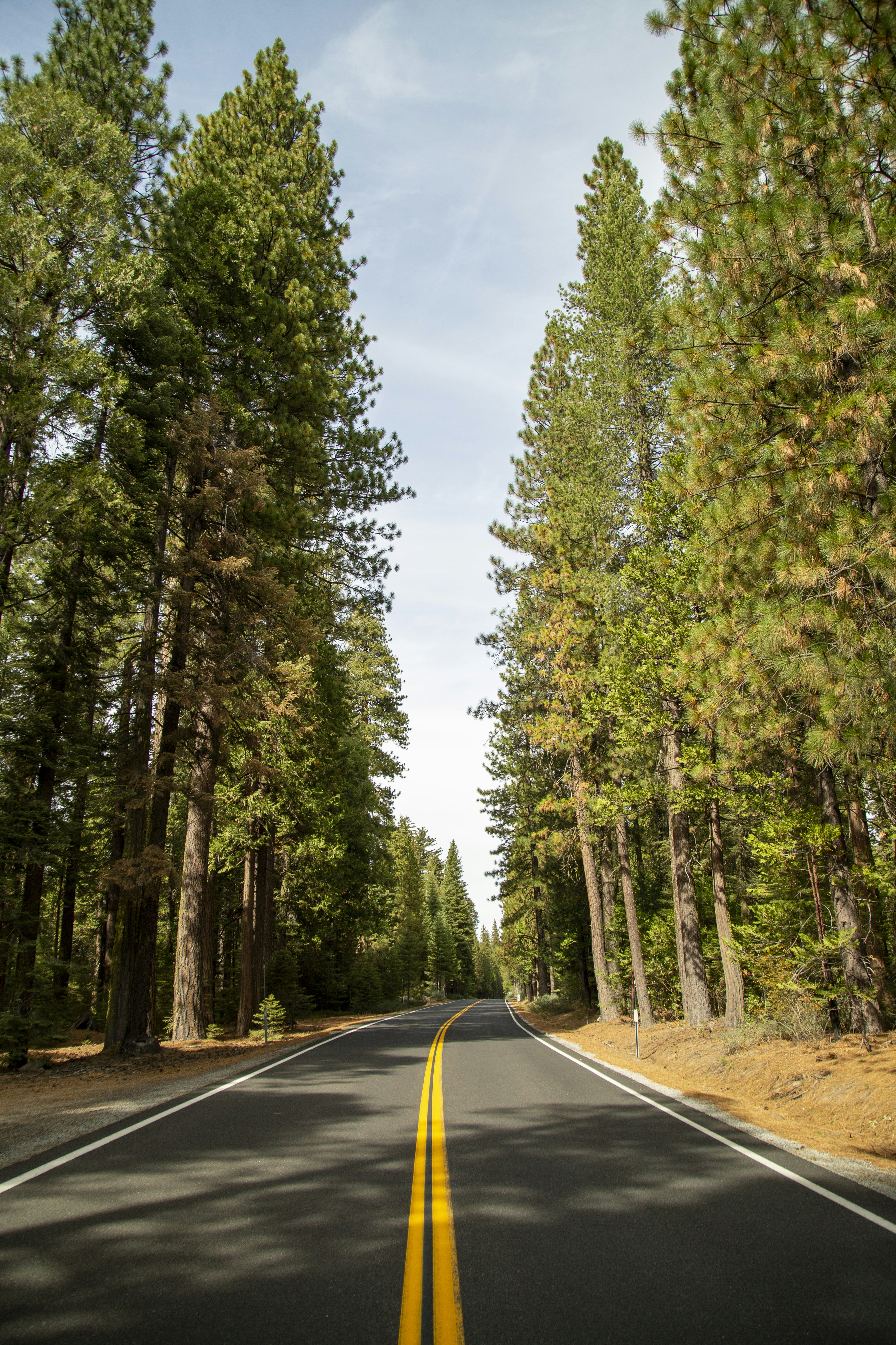 Photo by leo_visions_