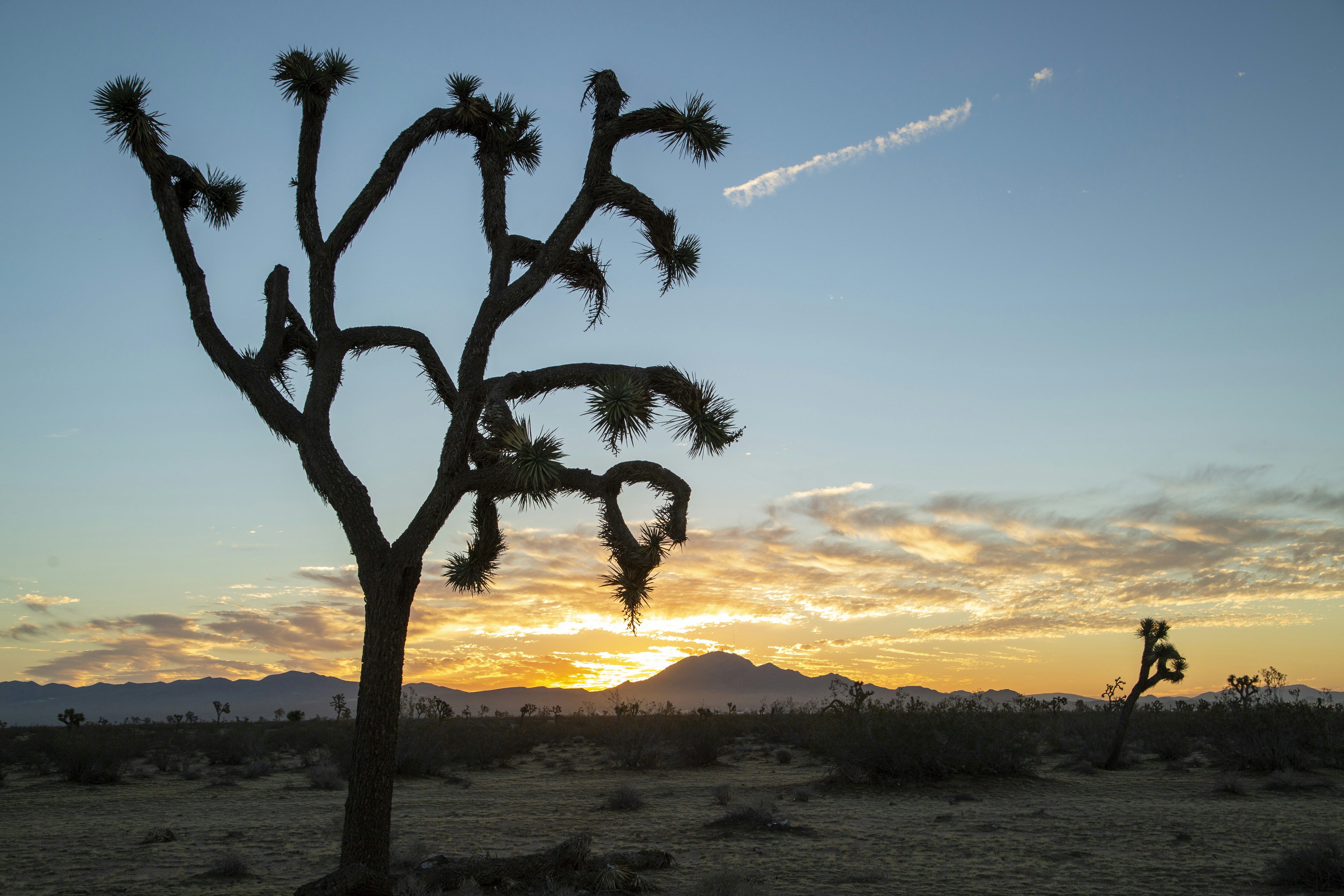 Photo by leo_visions_