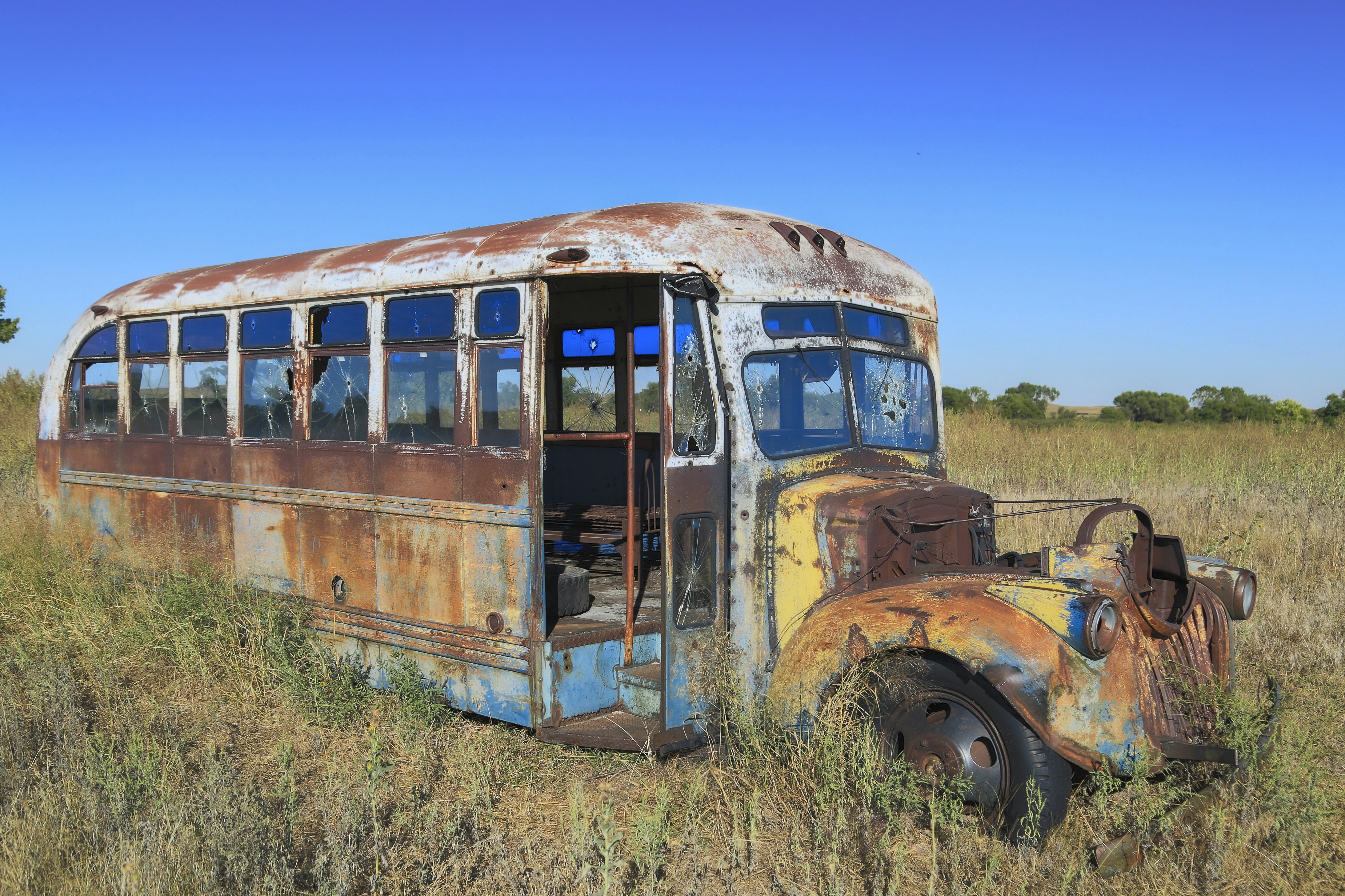 Photo by leo_visions_