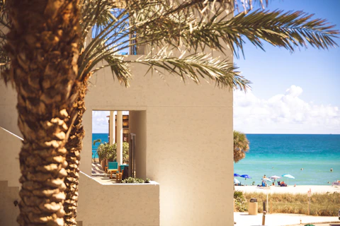 Palm tree and a view of the ocean.