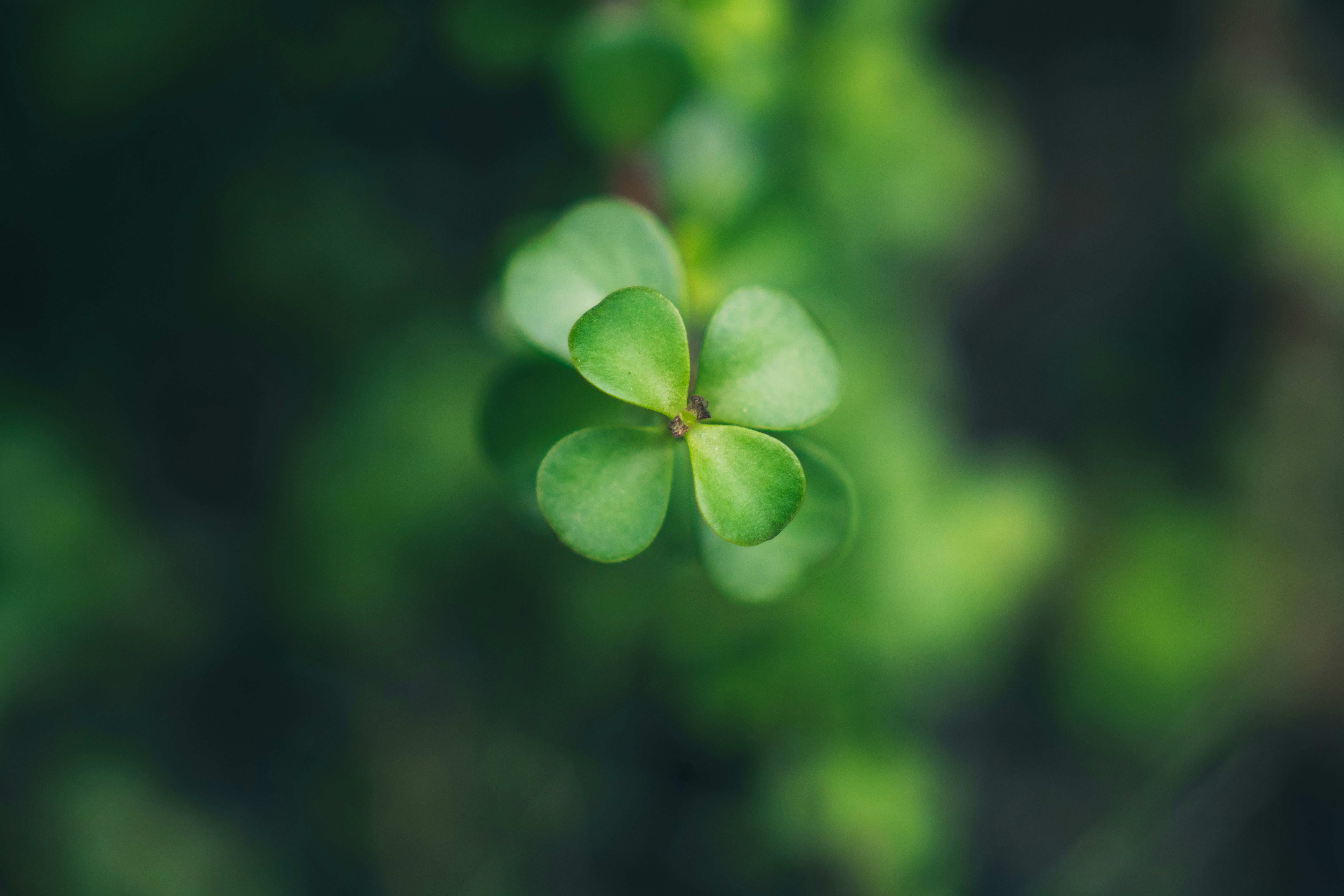 Photo by berserkdhanraj