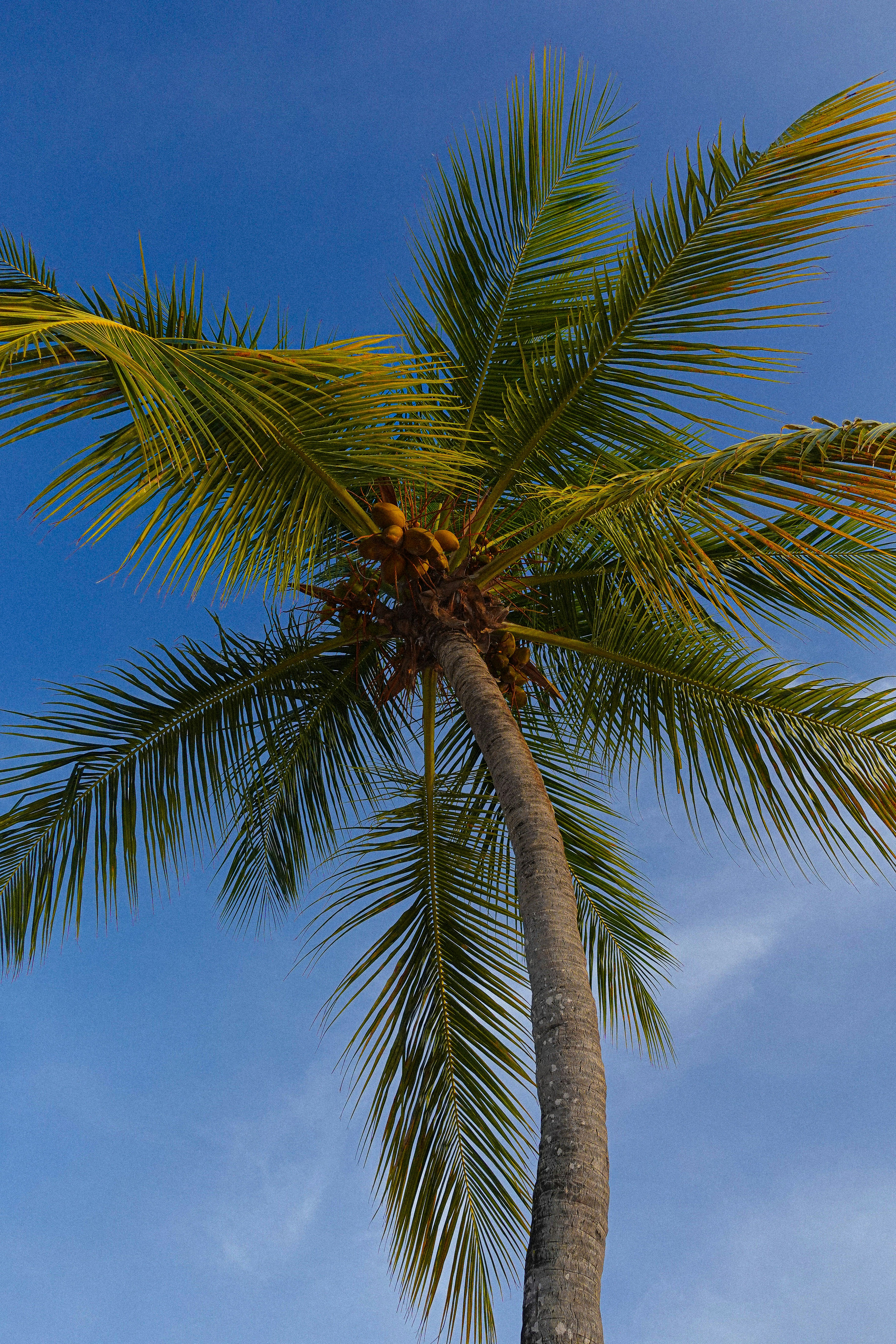 Photo by kashragber99